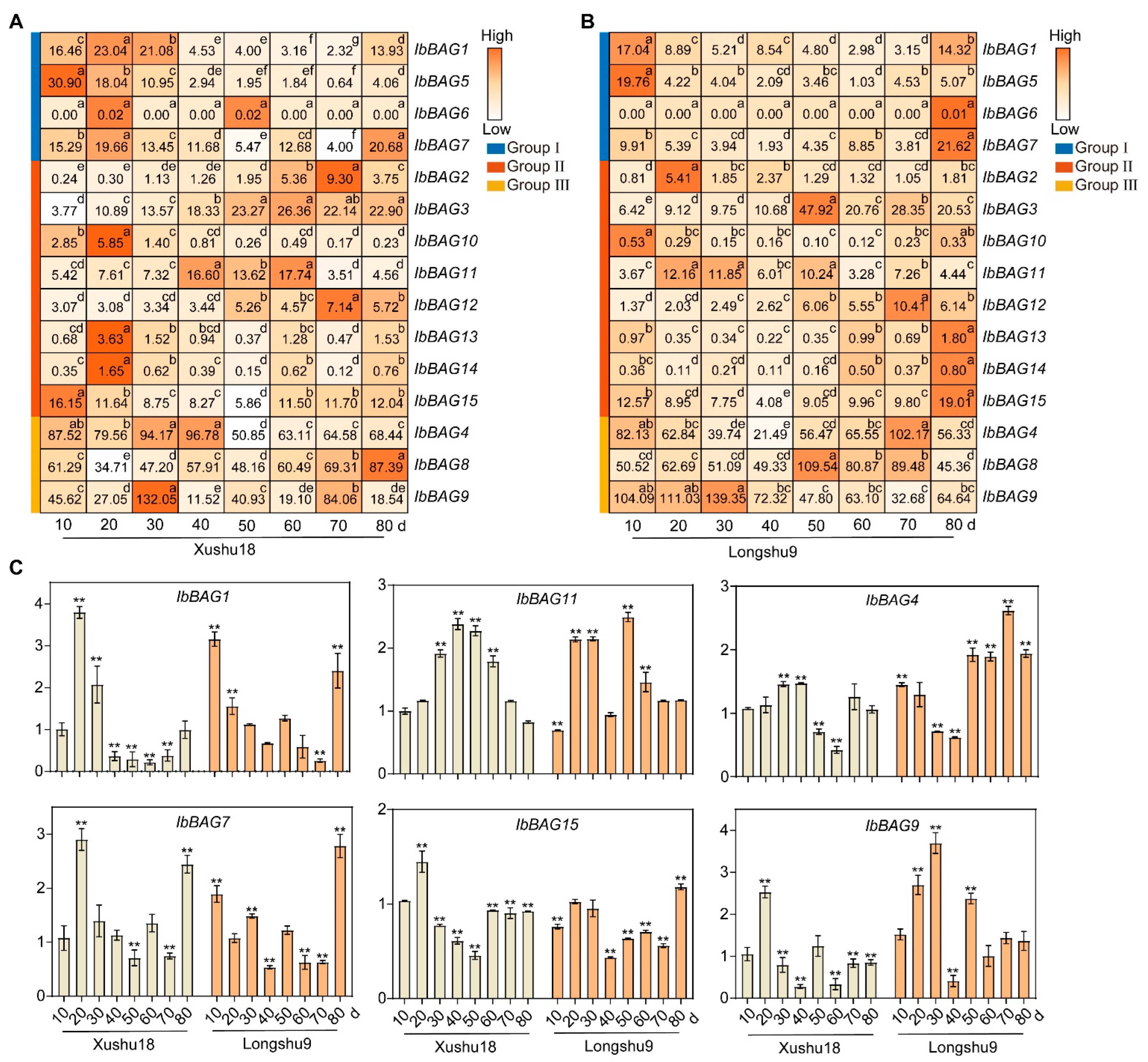 Ijms 26 09053 g008 Ijms 26 09053 g008