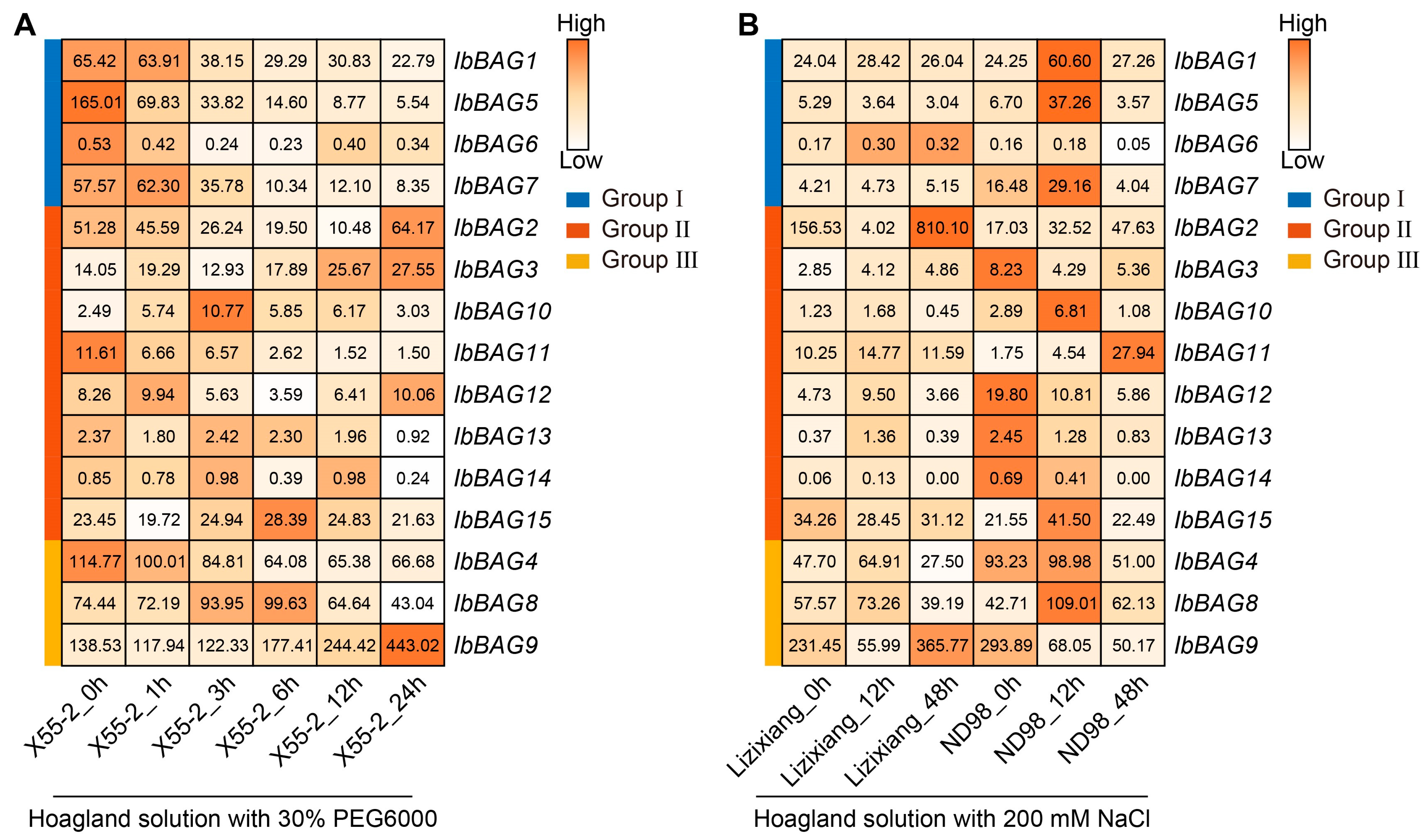 Ijms 26 09053 g009 Ijms 26 09053 g009