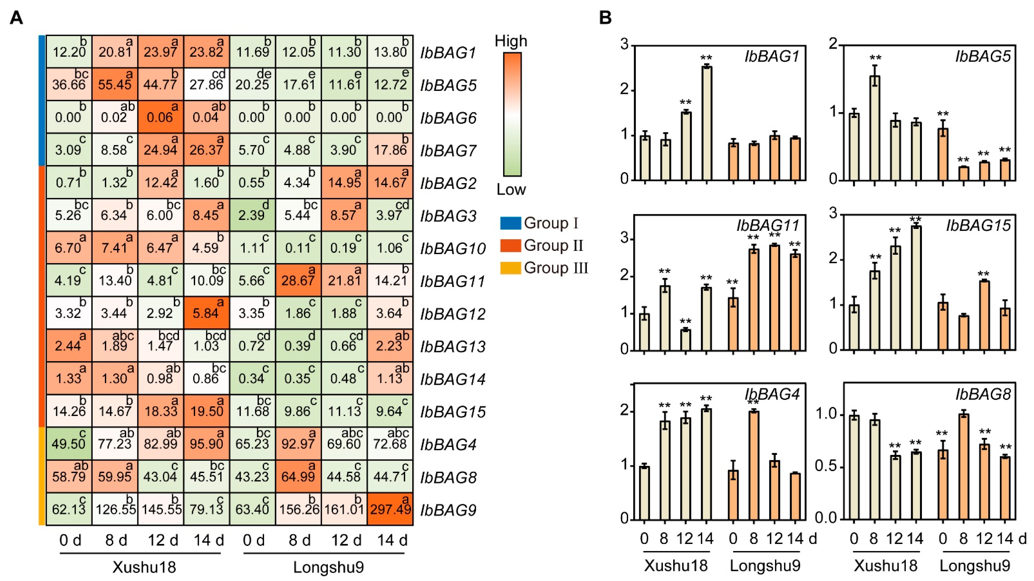 Ijms 26 09053 g010 Ijms 26 09053 g010