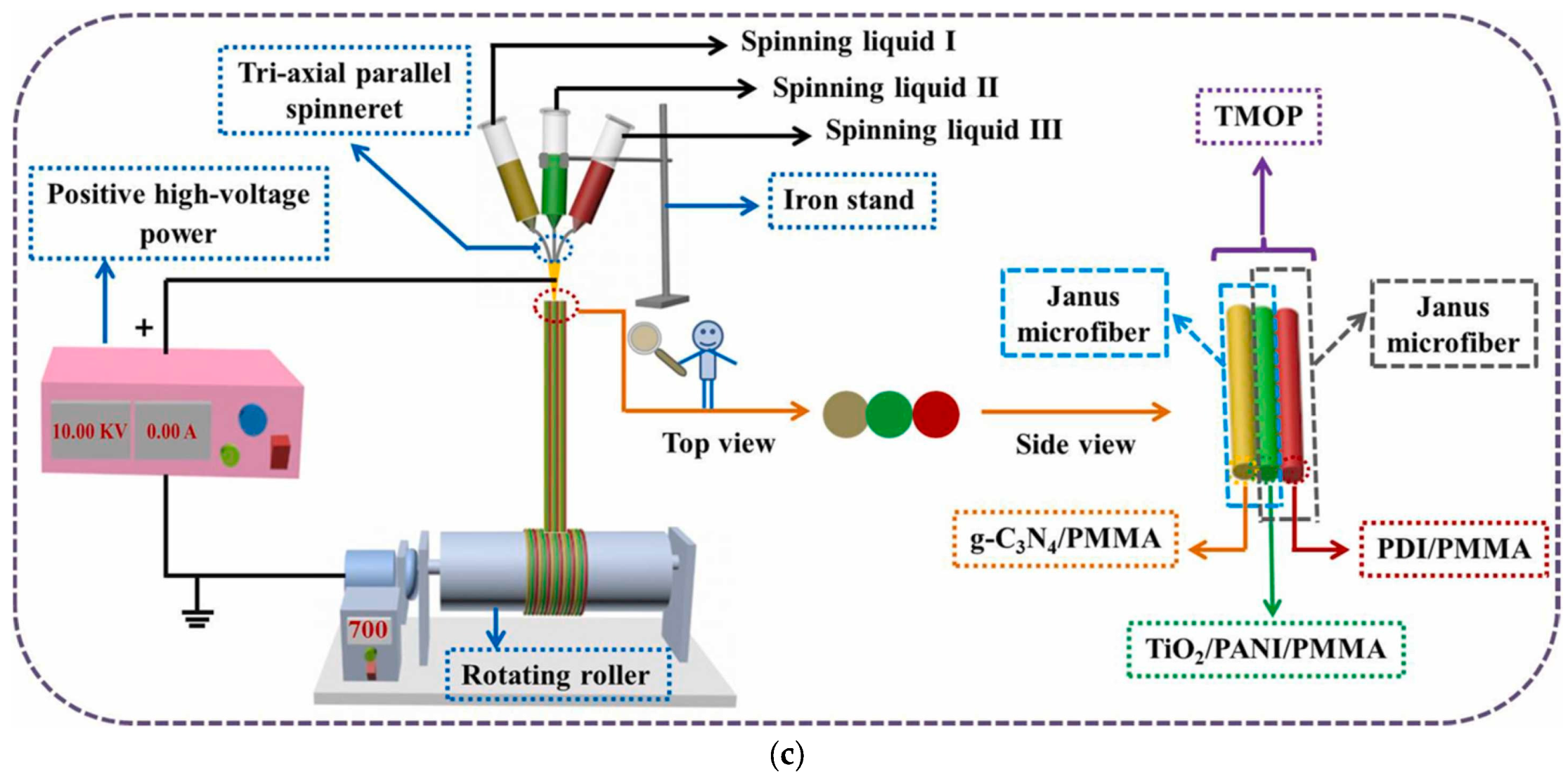 Ijms 26 09055 g003b Ijms 26 09055 g003b