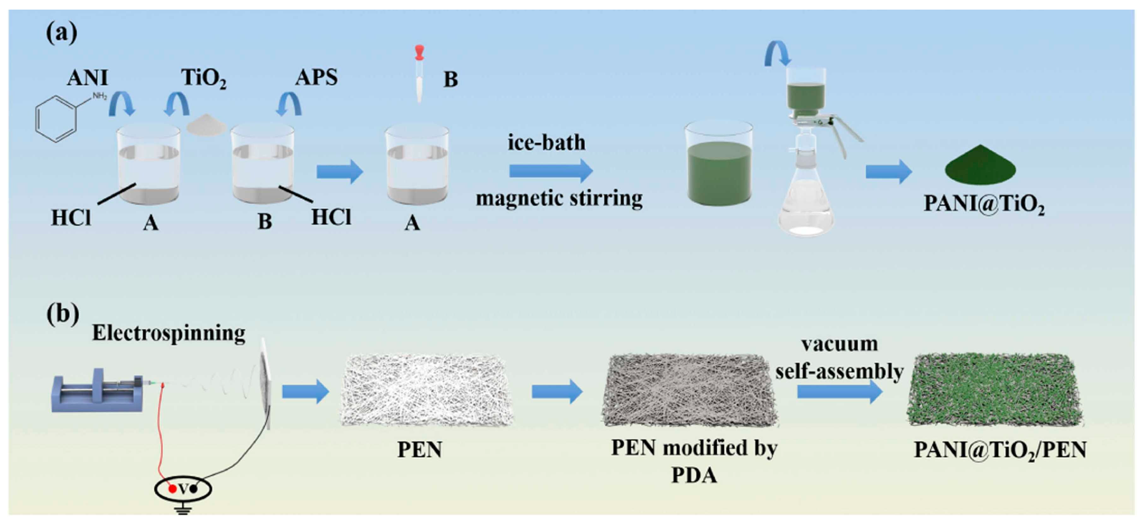 Ijms 26 09055 g005 Ijms 26 09055 g005