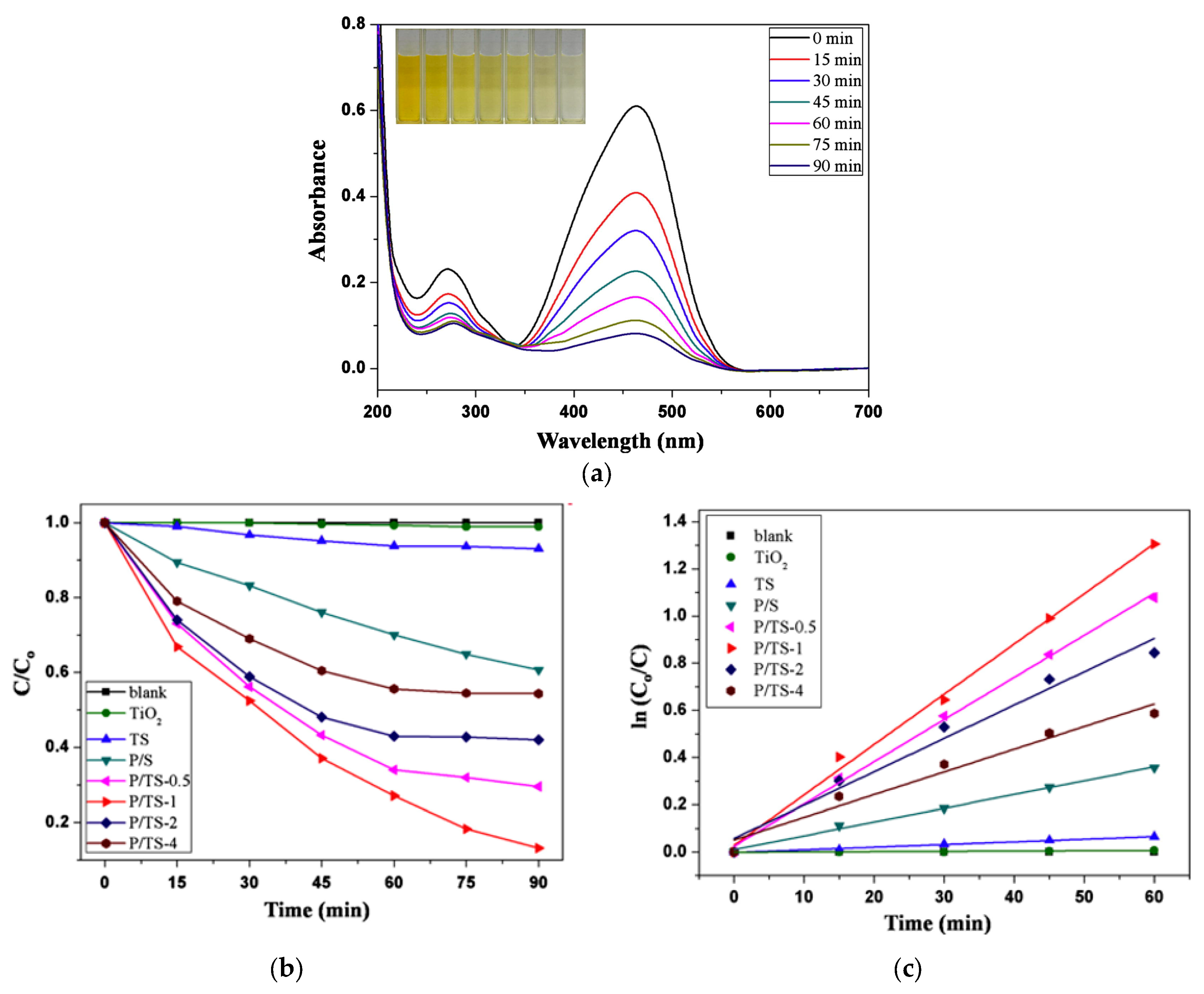 Ijms 26 09055 g009 Ijms 26 09055 g009