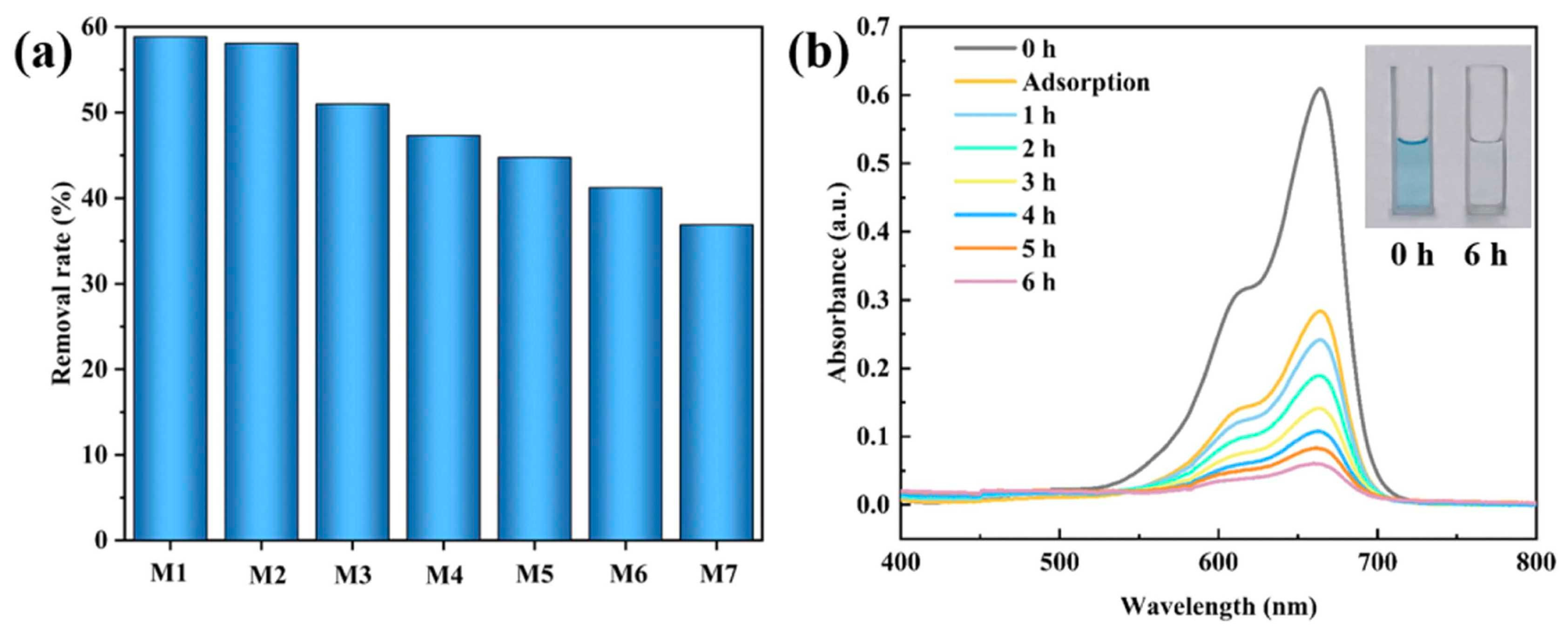 Ijms 26 09055 g010 Ijms 26 09055 g010