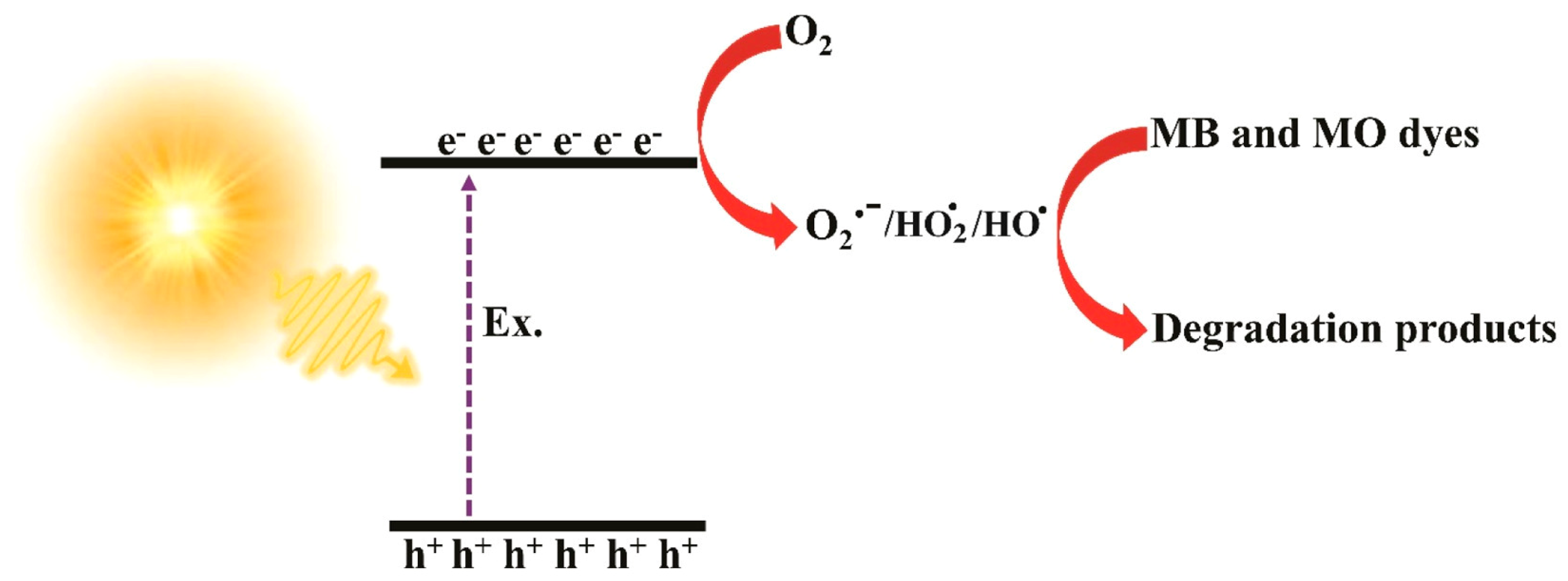 Ijms 26 09055 g012 Ijms 26 09055 g012