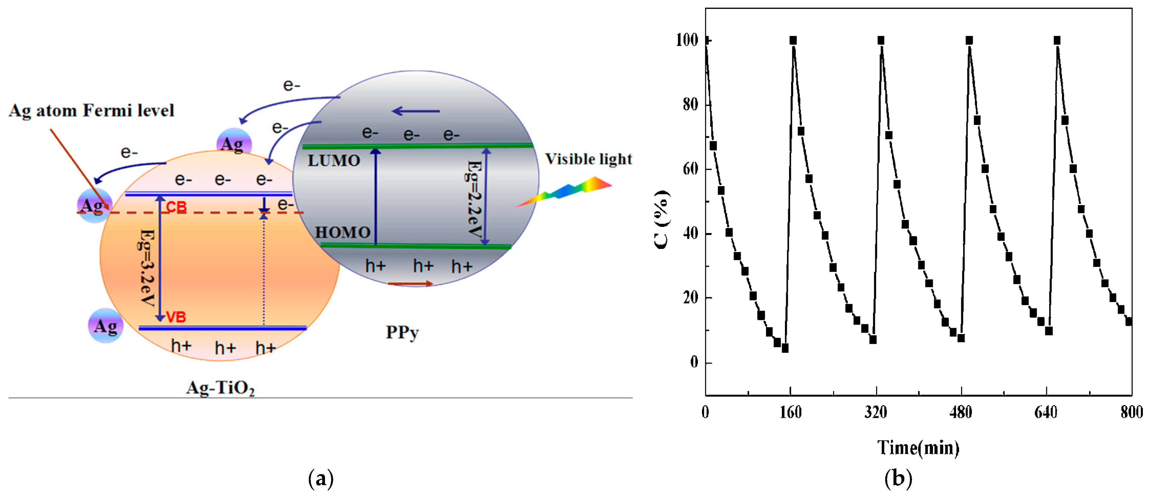 Ijms 26 09055 g019 Ijms 26 09055 g019