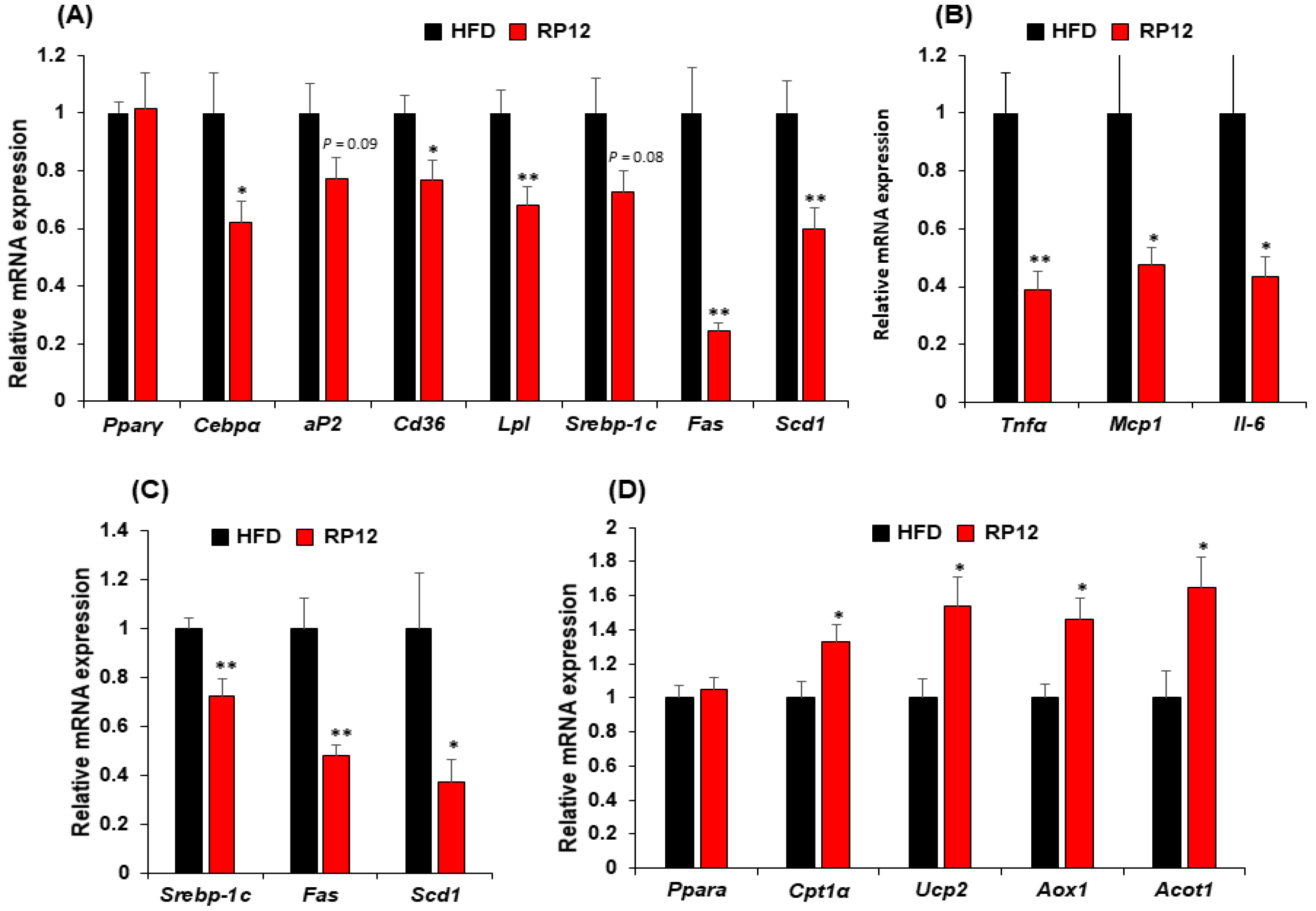Ijms 26 09056 g002 Ijms 26 09056 g002