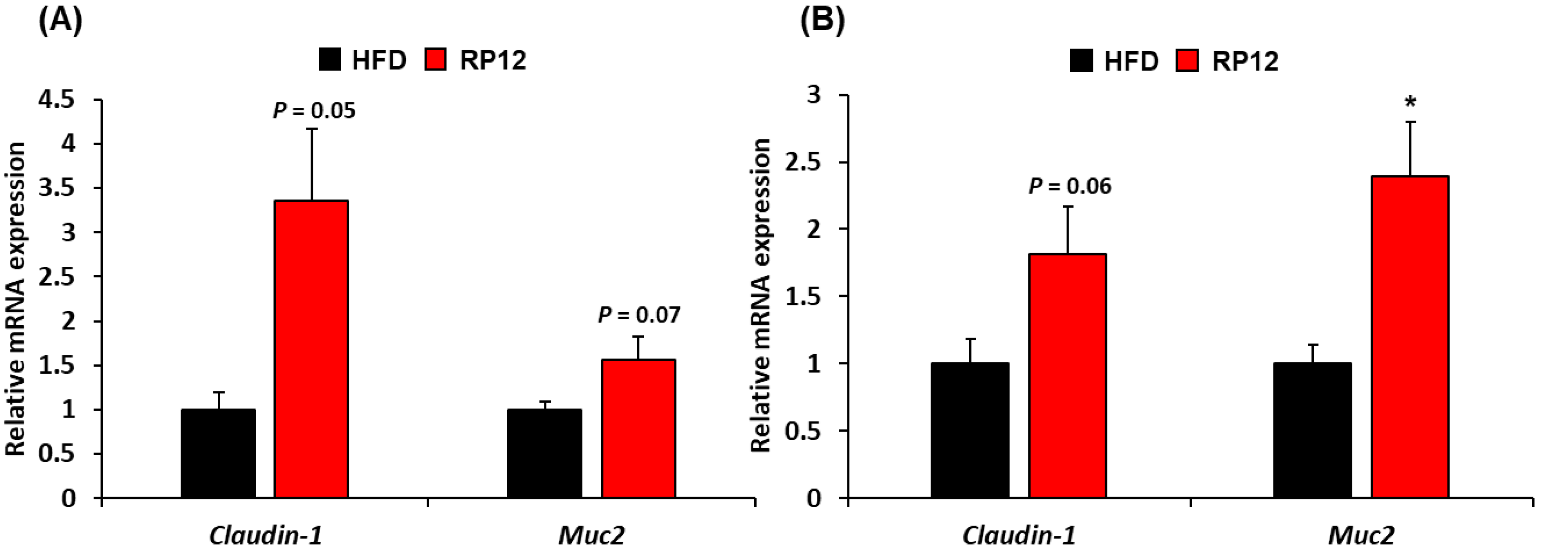 Ijms 26 09056 g007 Ijms 26 09056 g007