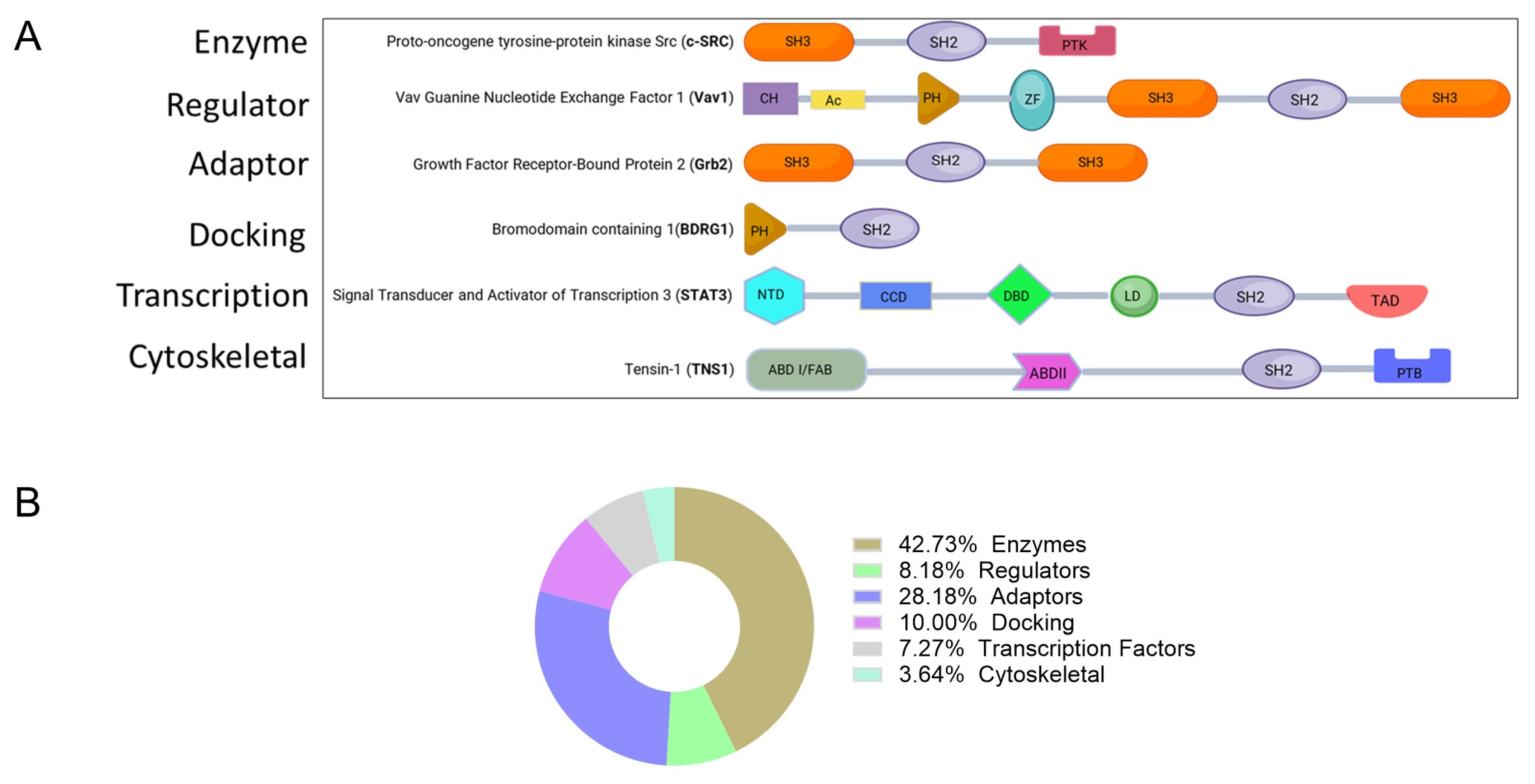 Ijms 26 09060 g001 Ijms 26 09060 g001