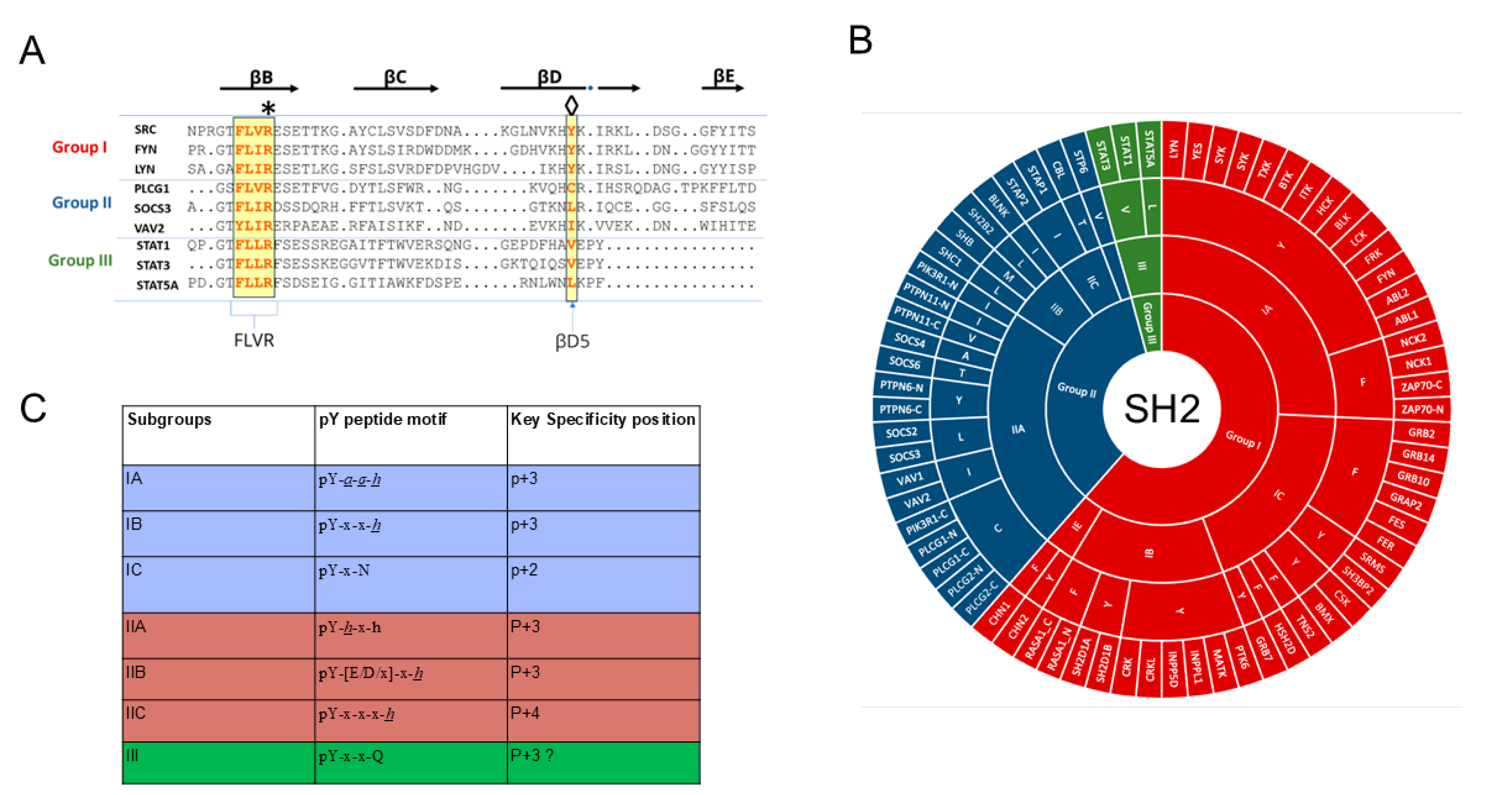 Ijms 26 09060 g004 Ijms 26 09060 g004