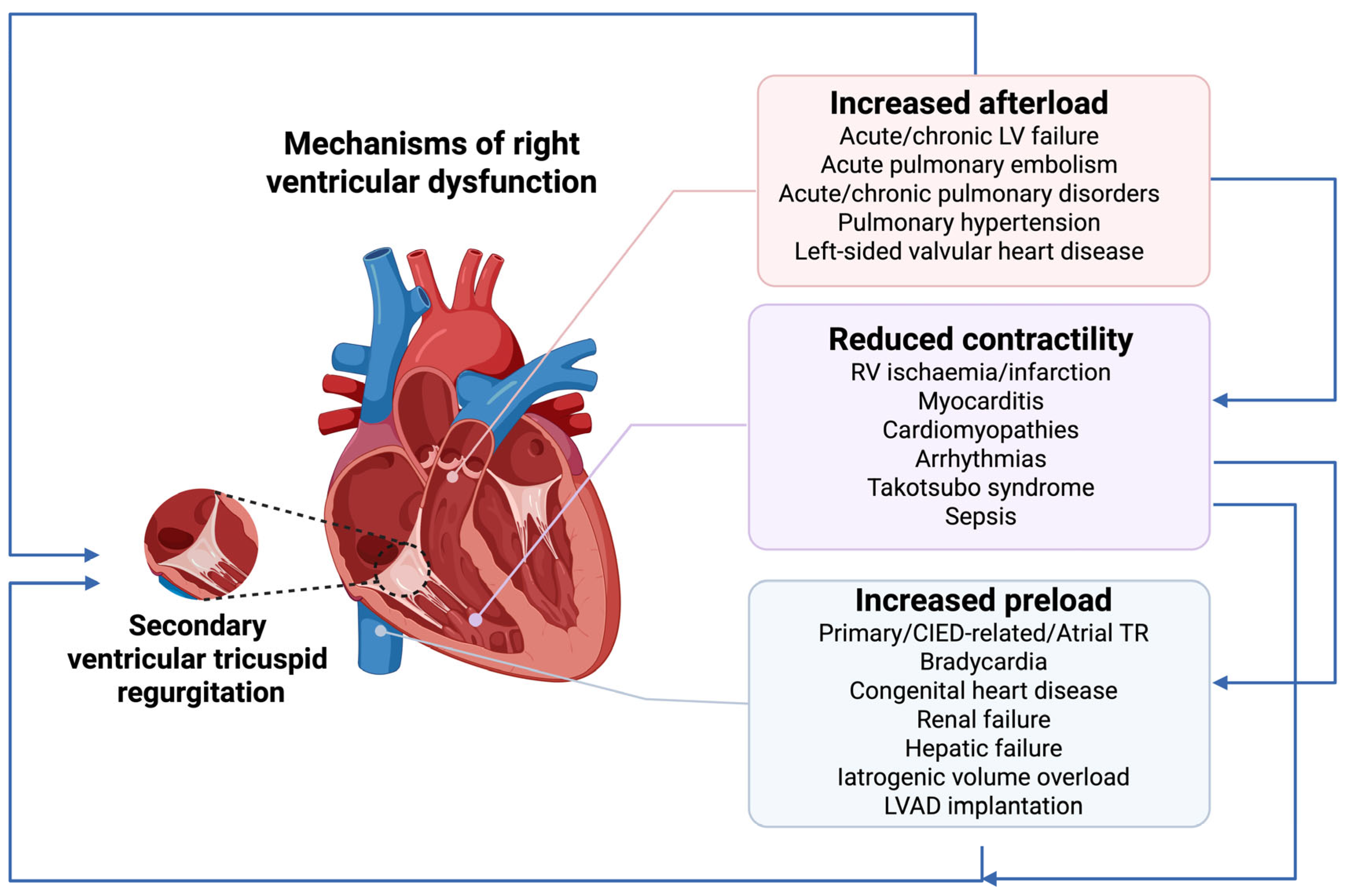 Ijms 26 09064 g001 Ijms 26 09064 g001