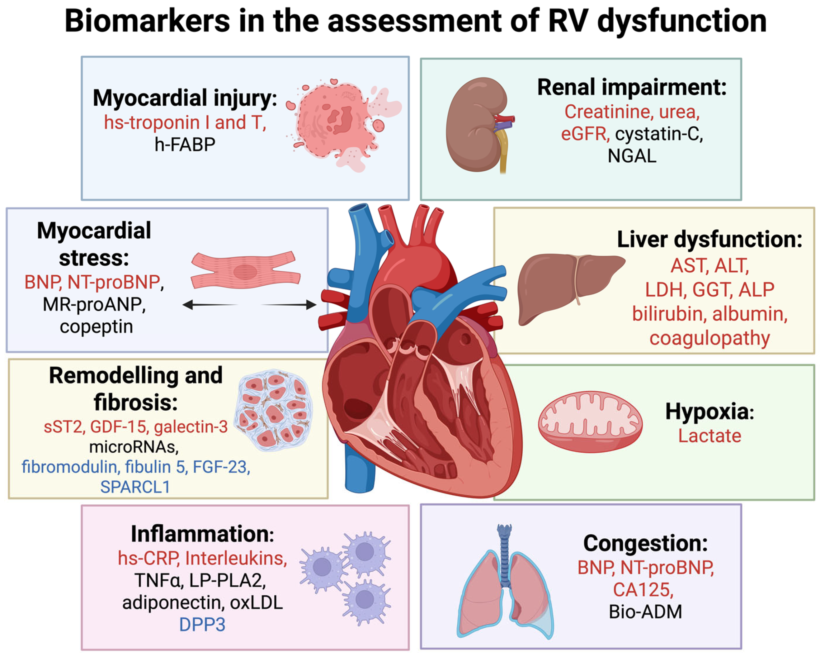 Ijms 26 09064 g002 Ijms 26 09064 g002
