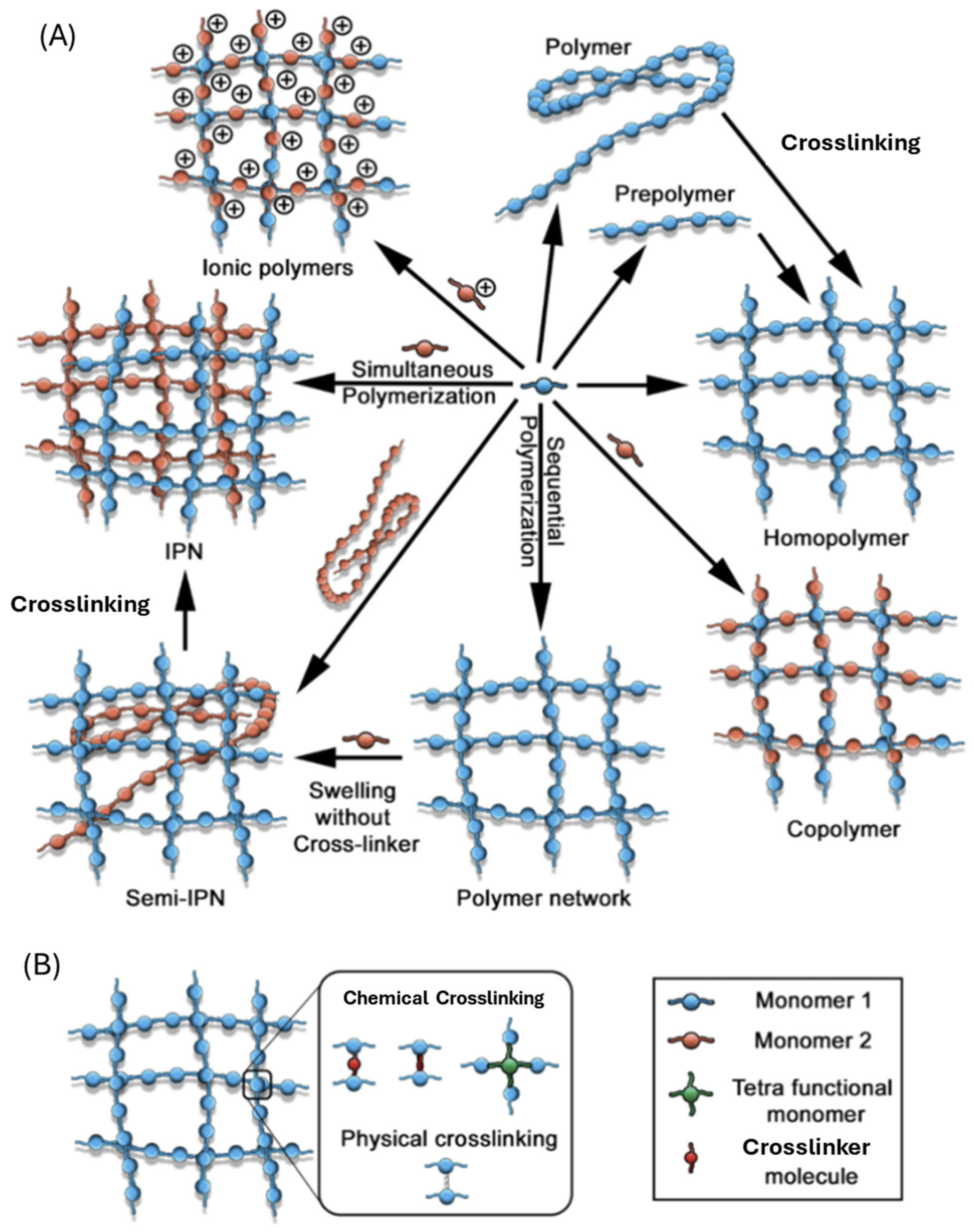 Ijms 26 09066 g002 Ijms 26 09066 g002