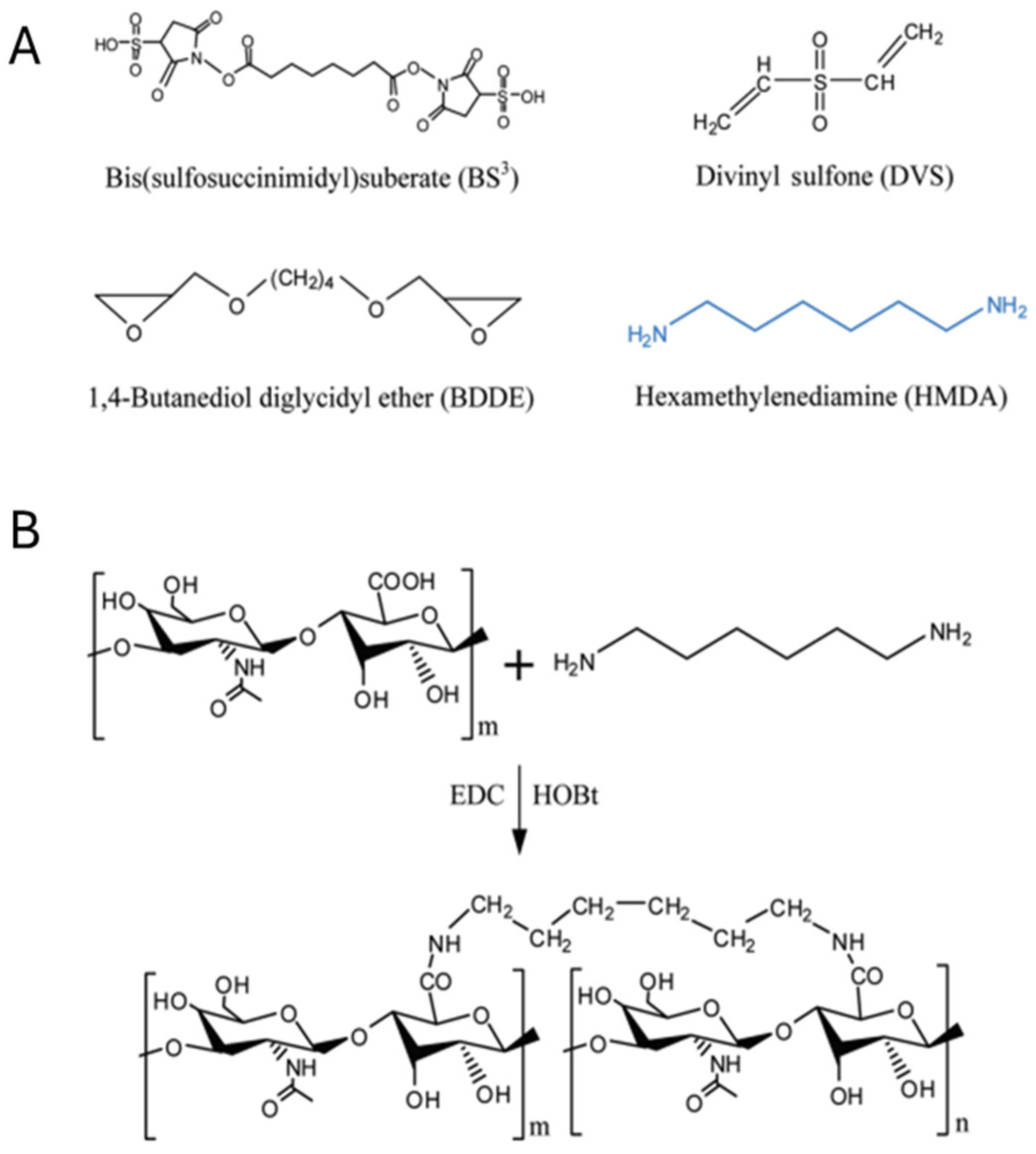 Ijms 26 09066 g003 Ijms 26 09066 g003