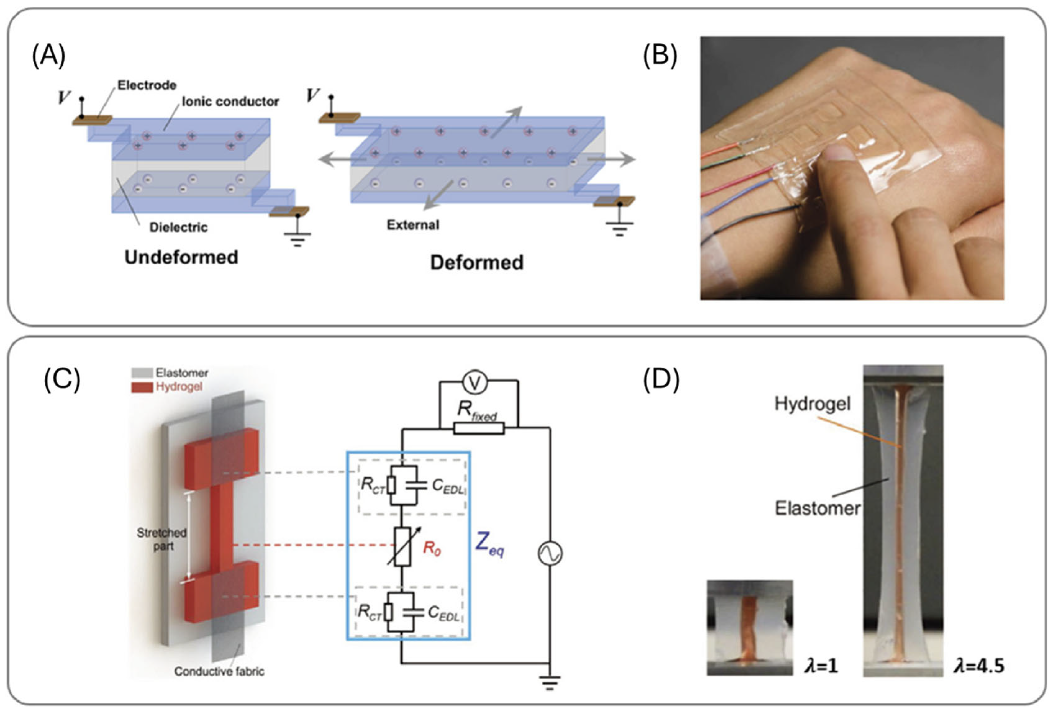 Ijms 26 09066 g006 Ijms 26 09066 g006