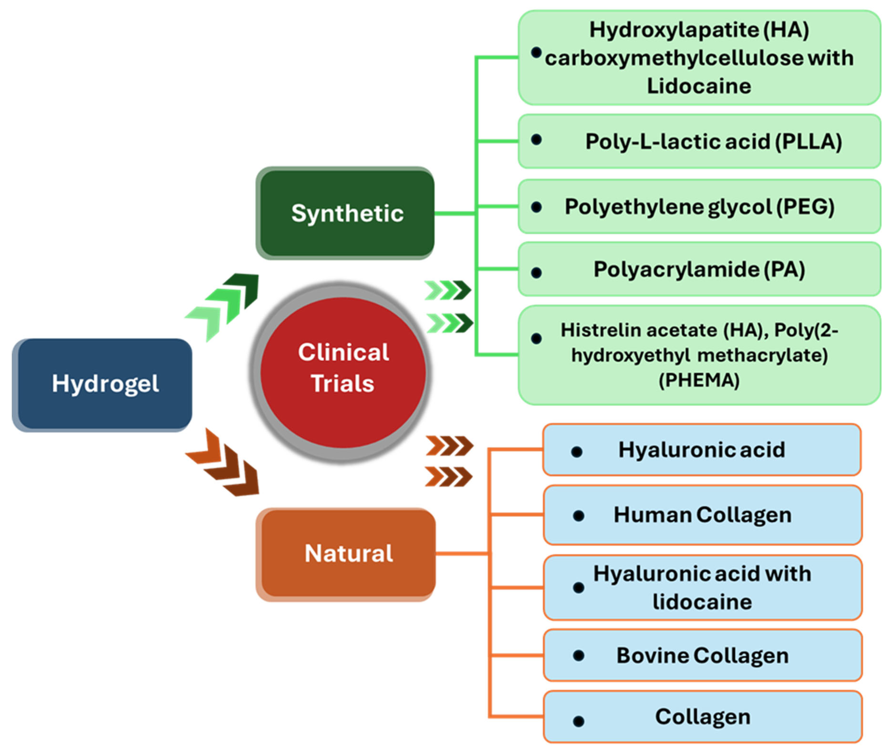 Ijms 26 09066 g007 Ijms 26 09066 g007
