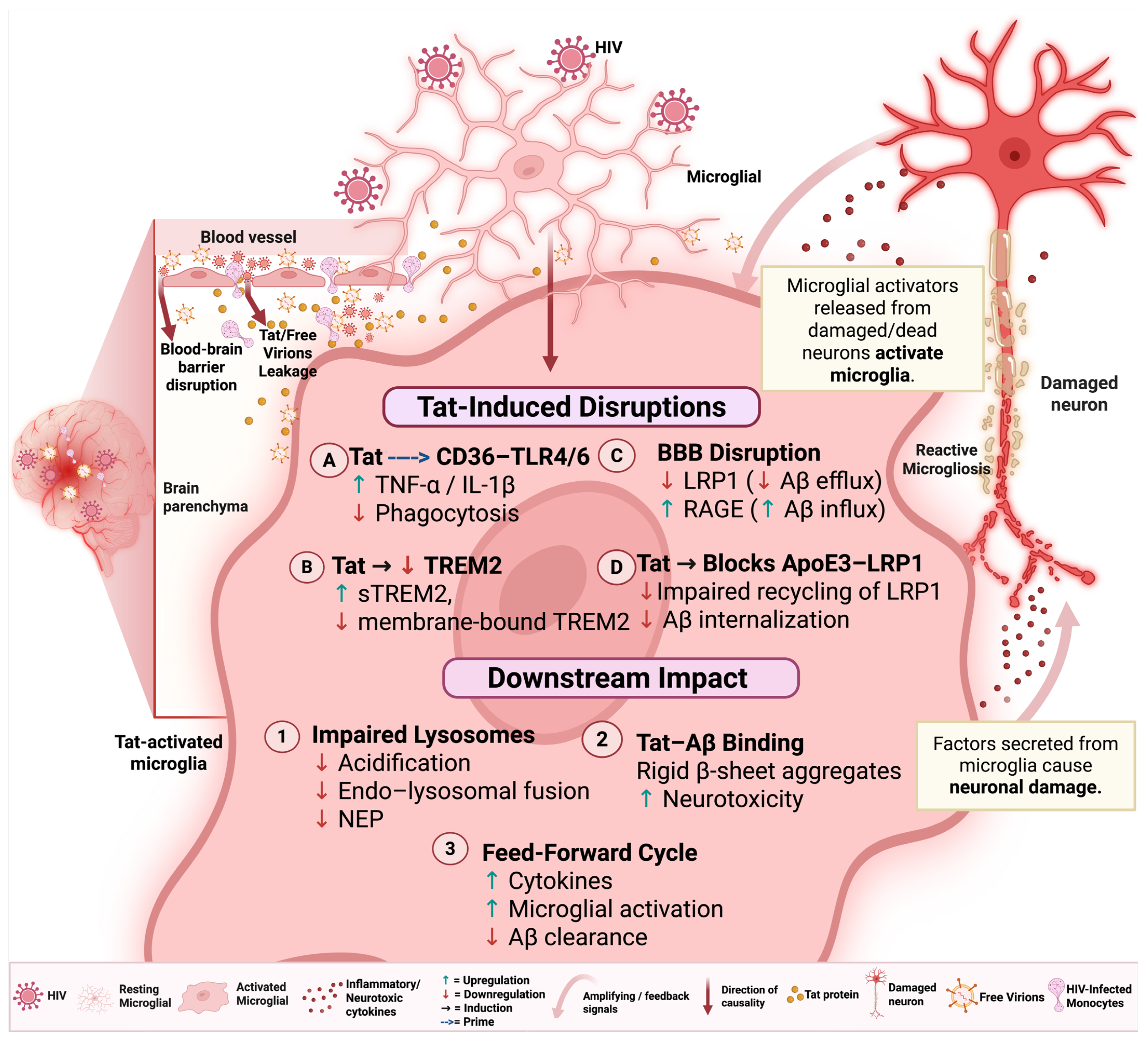 Ijms 26 09069 g001 Ijms 26 09069 g001