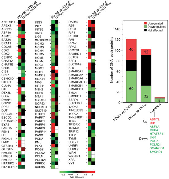 Proteomic Analysis Uncovers Enhanced Inflammatory Phenotype and