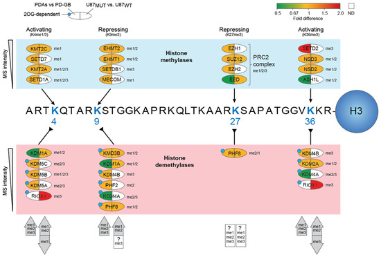 mode:models 写真集 snow10-11 catalog.indd - Al's Snowmobile Parts Warehouse