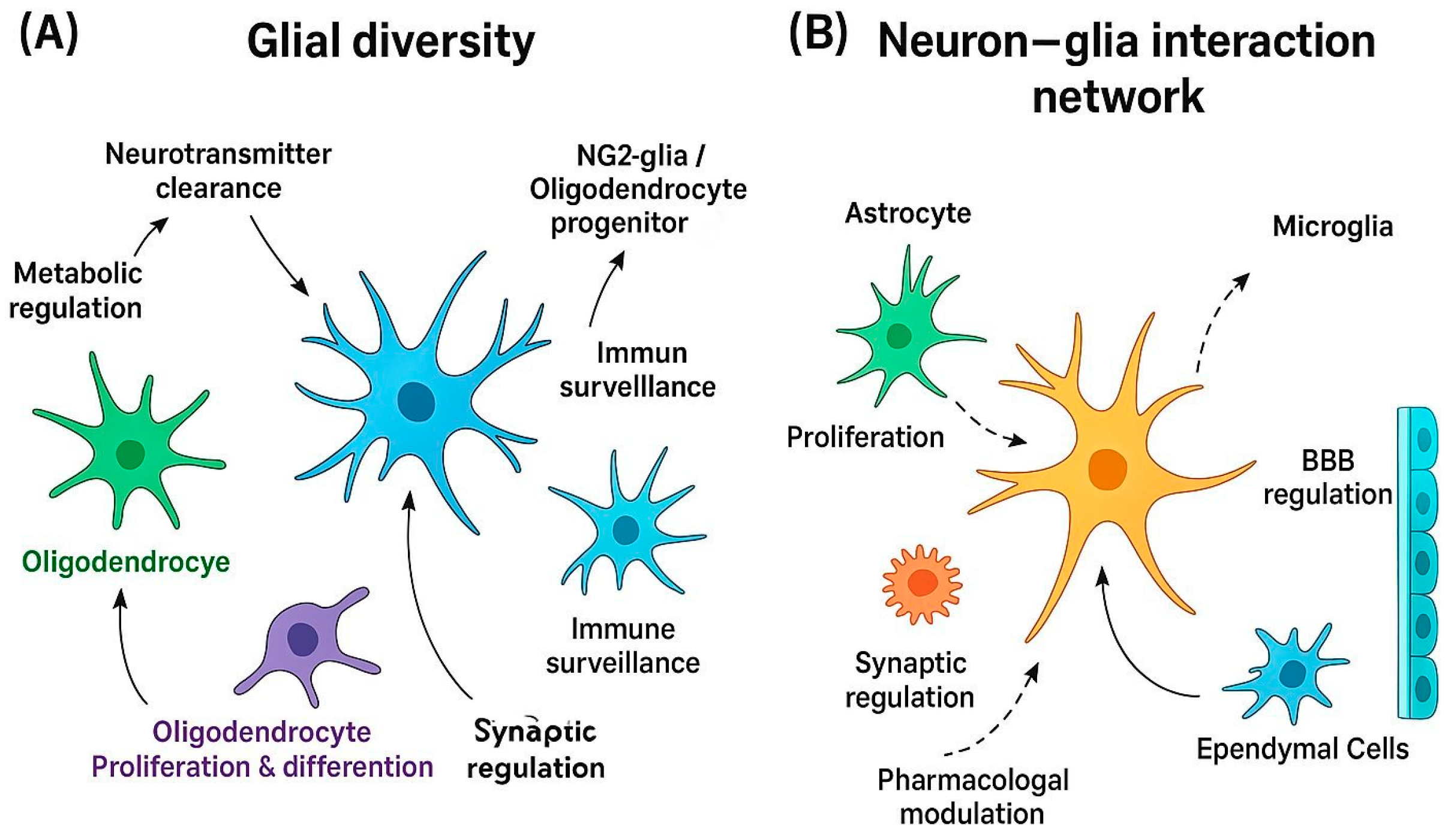 Ijms 26 09080 g001 Ijms 26 09080 g001