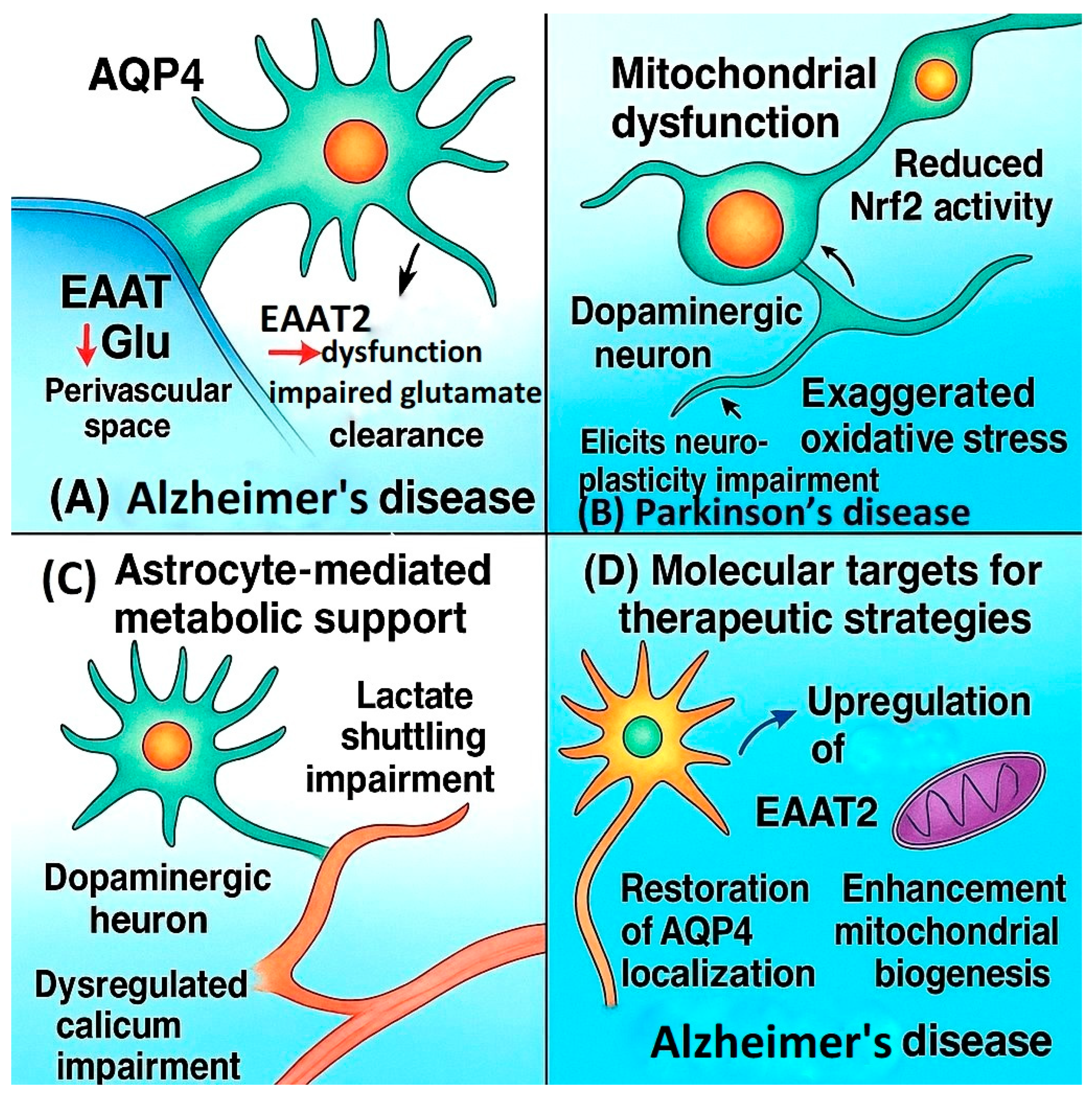 Ijms 26 09080 g002 Ijms 26 09080 g002