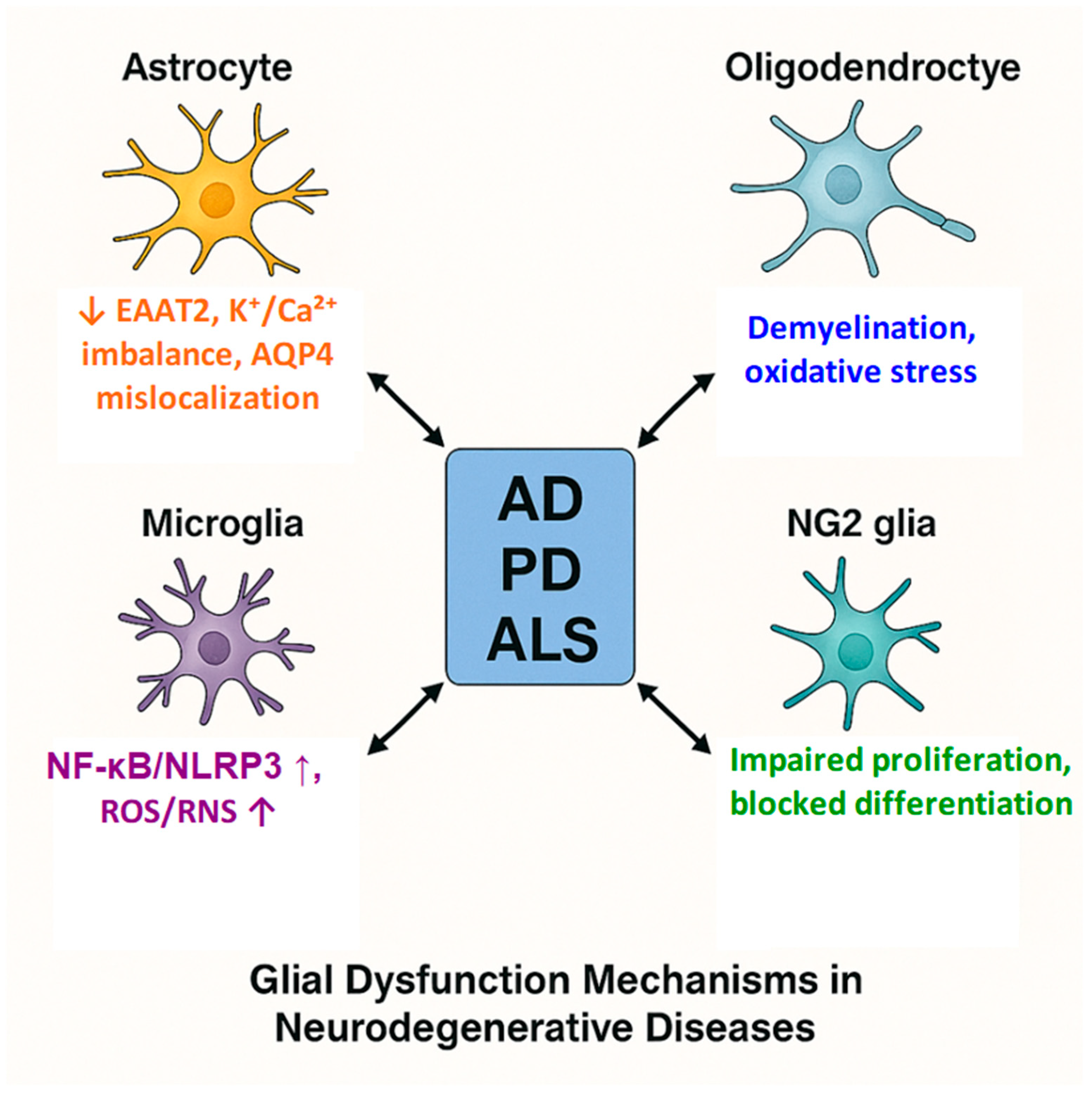 Ijms 26 09080 g005 Ijms 26 09080 g005
