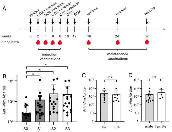 【裁断済み】VETERINARY ONCOLOGY No.43 44 46 47 2025年最新】VETER oncologyの人気アイテム - メルカリ