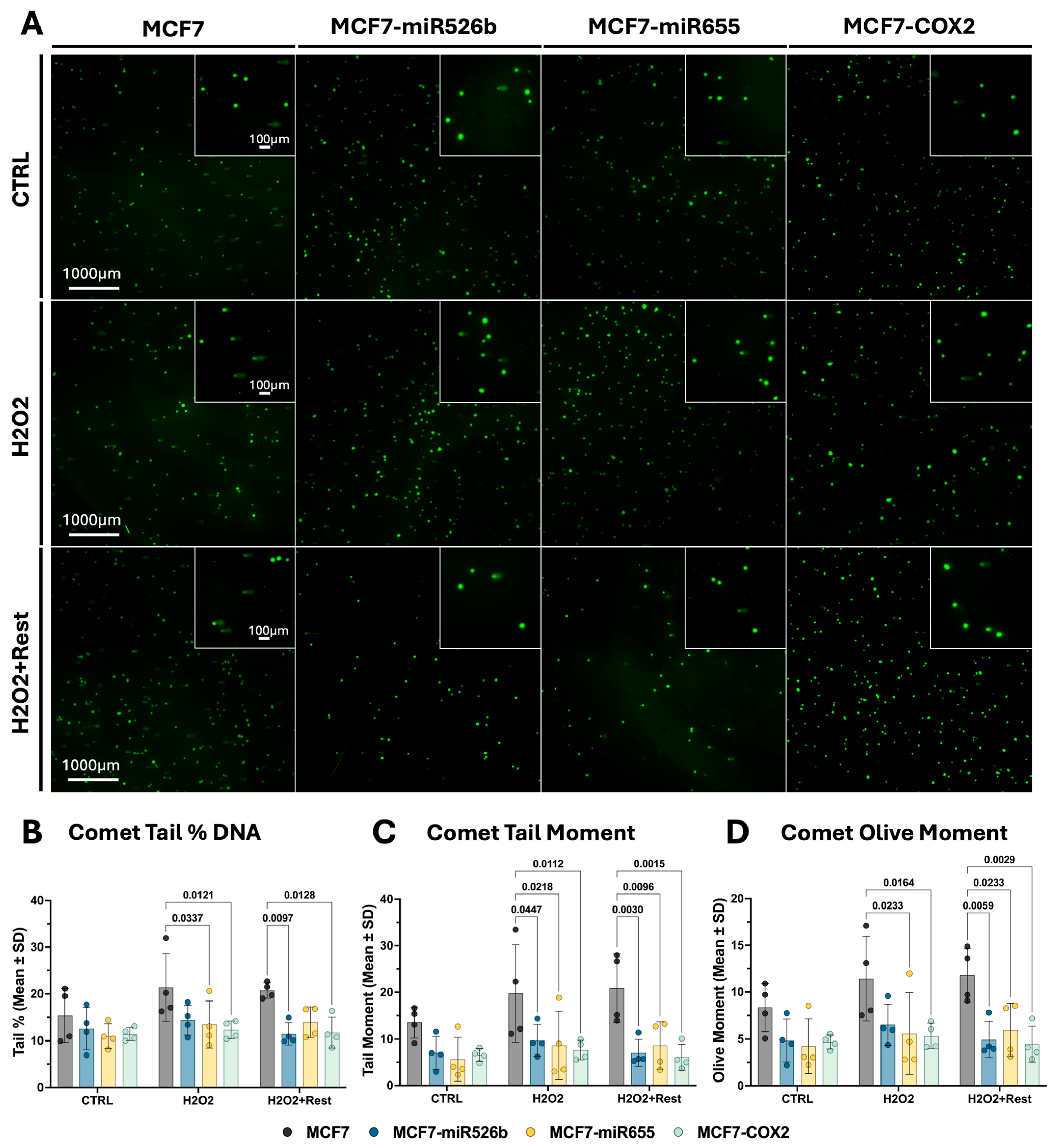 Ijms 26 09103 g002 Ijms 26 09103 g002