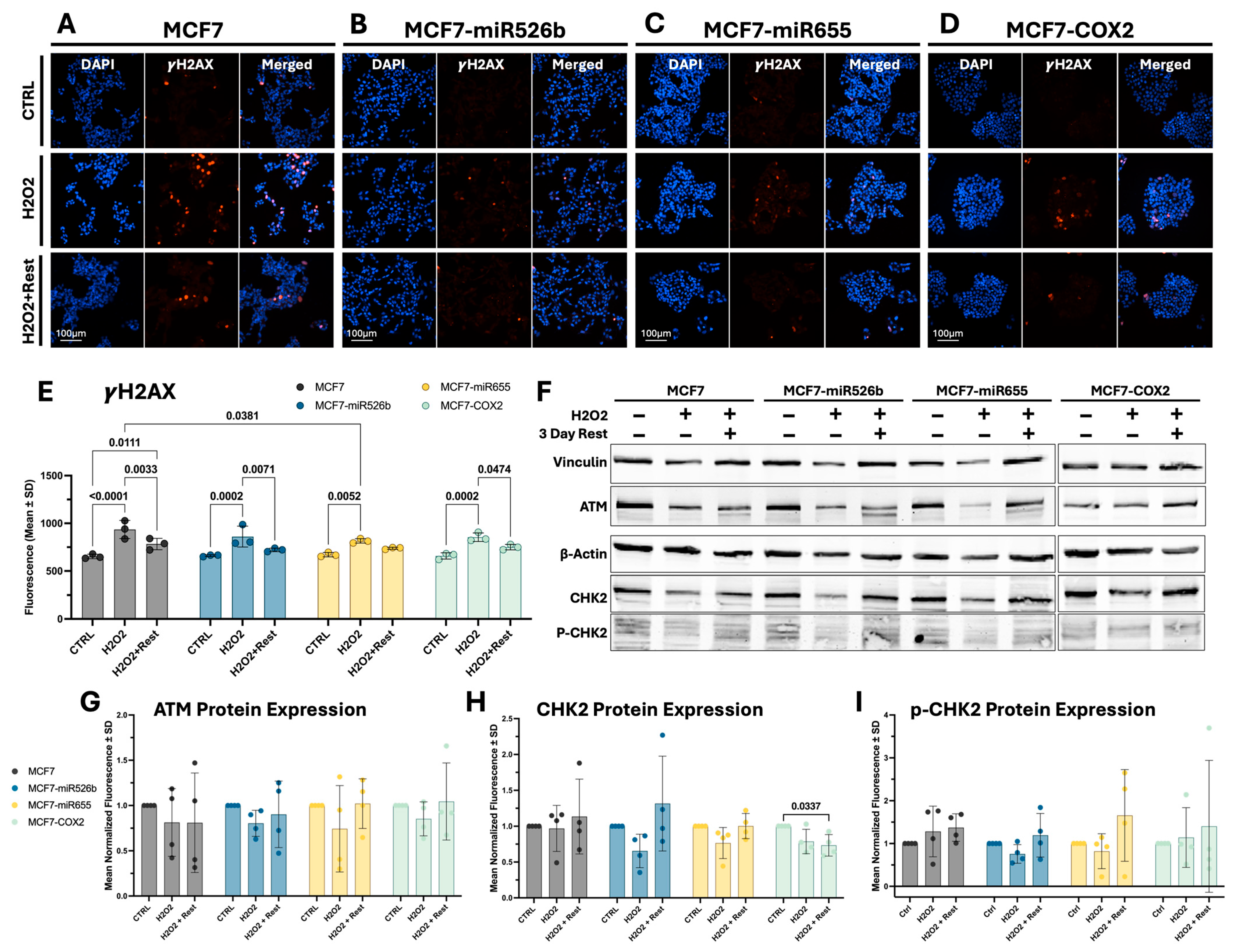 Ijms 26 09103 g003 Ijms 26 09103 g003