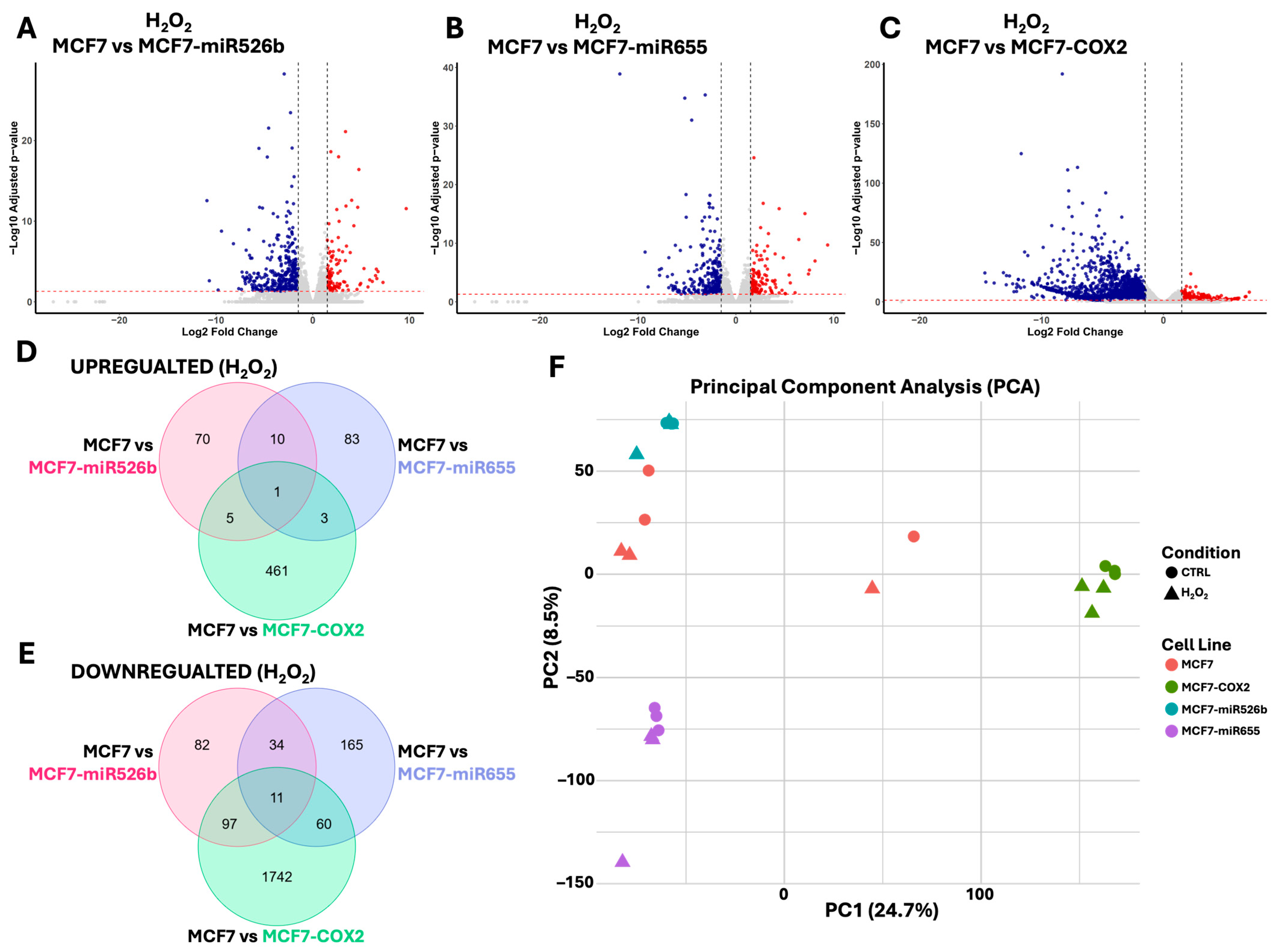 Ijms 26 09103 g004 Ijms 26 09103 g004