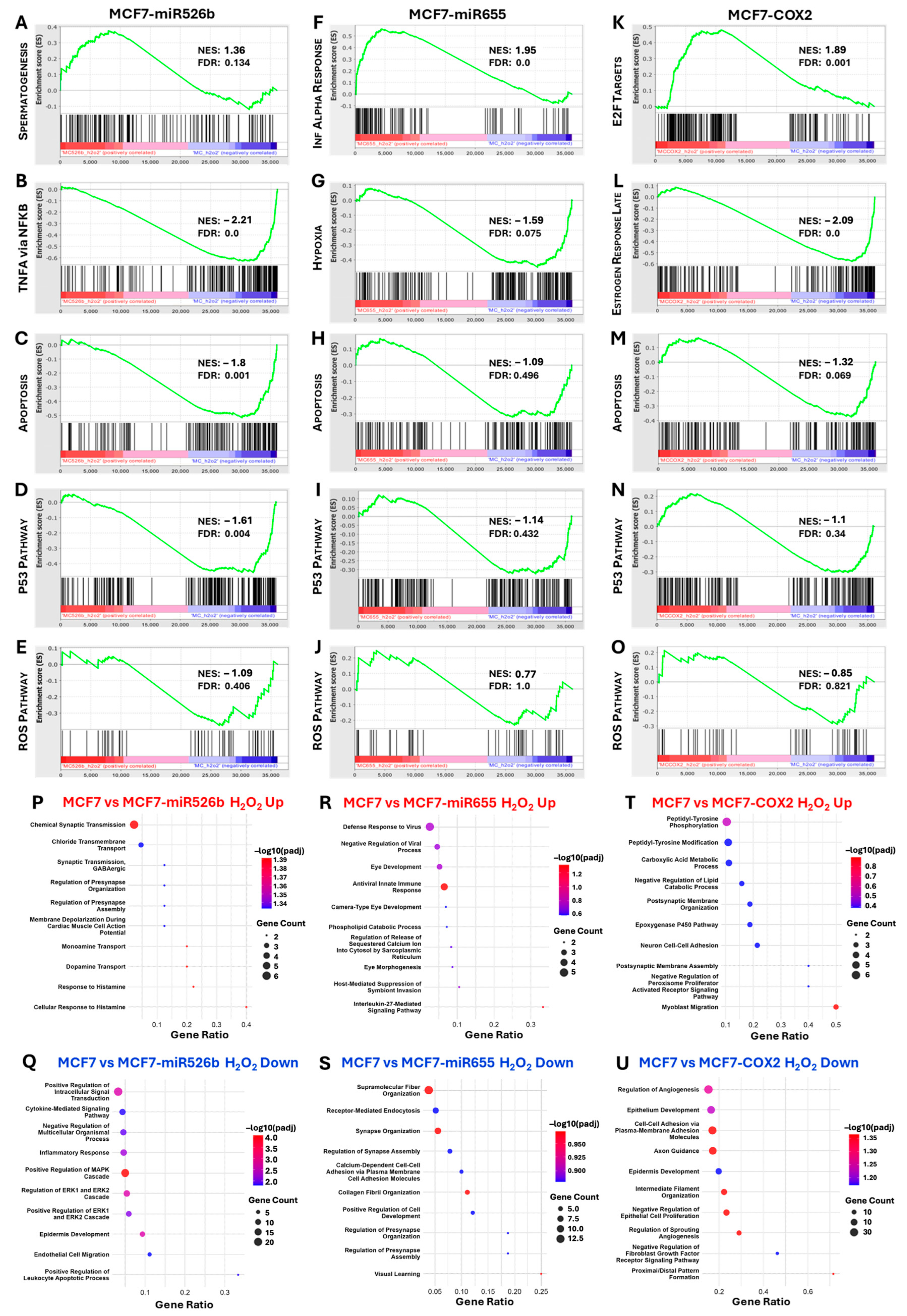Ijms 26 09103 g005 Ijms 26 09103 g005