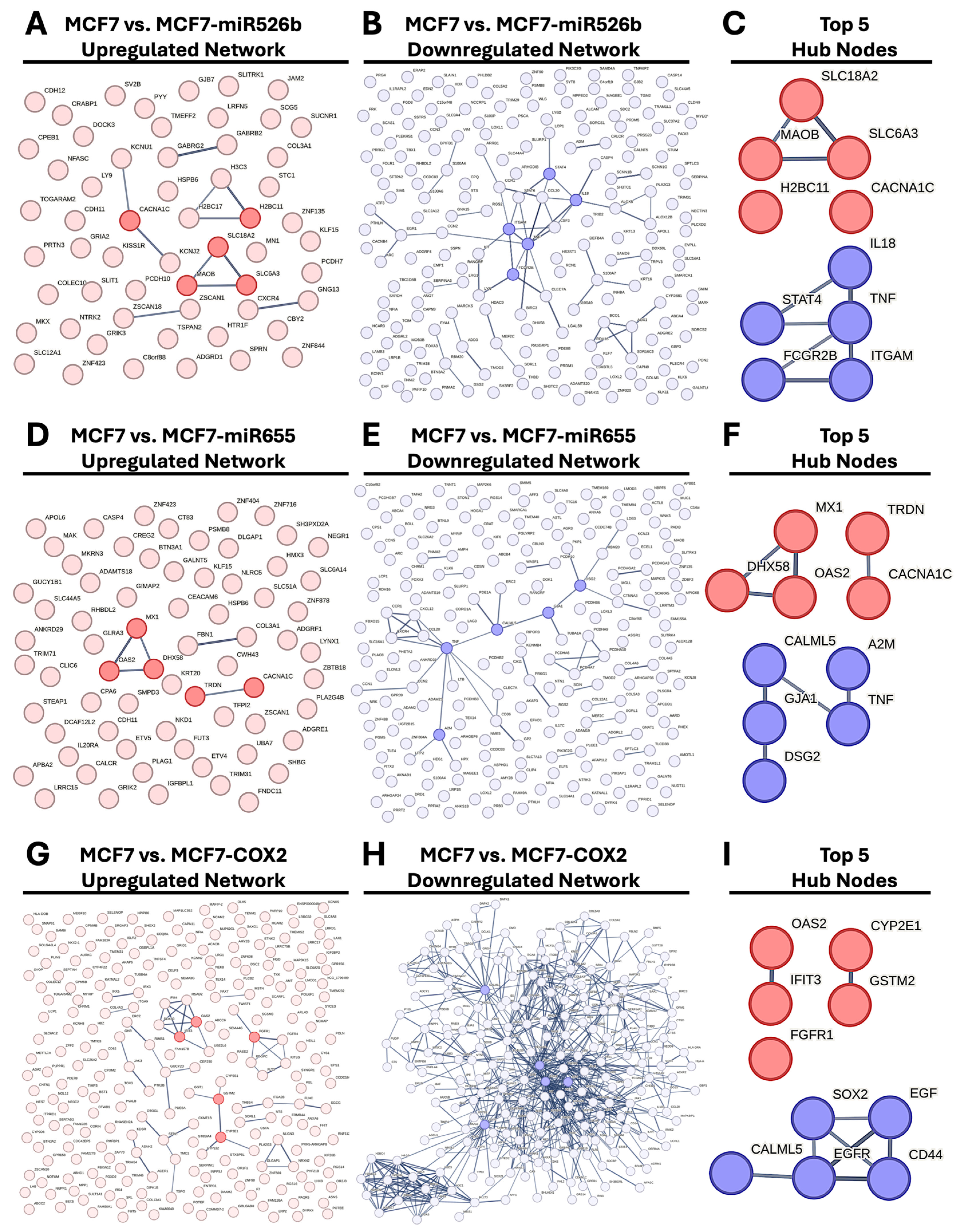 Ijms 26 09103 g006 Ijms 26 09103 g006