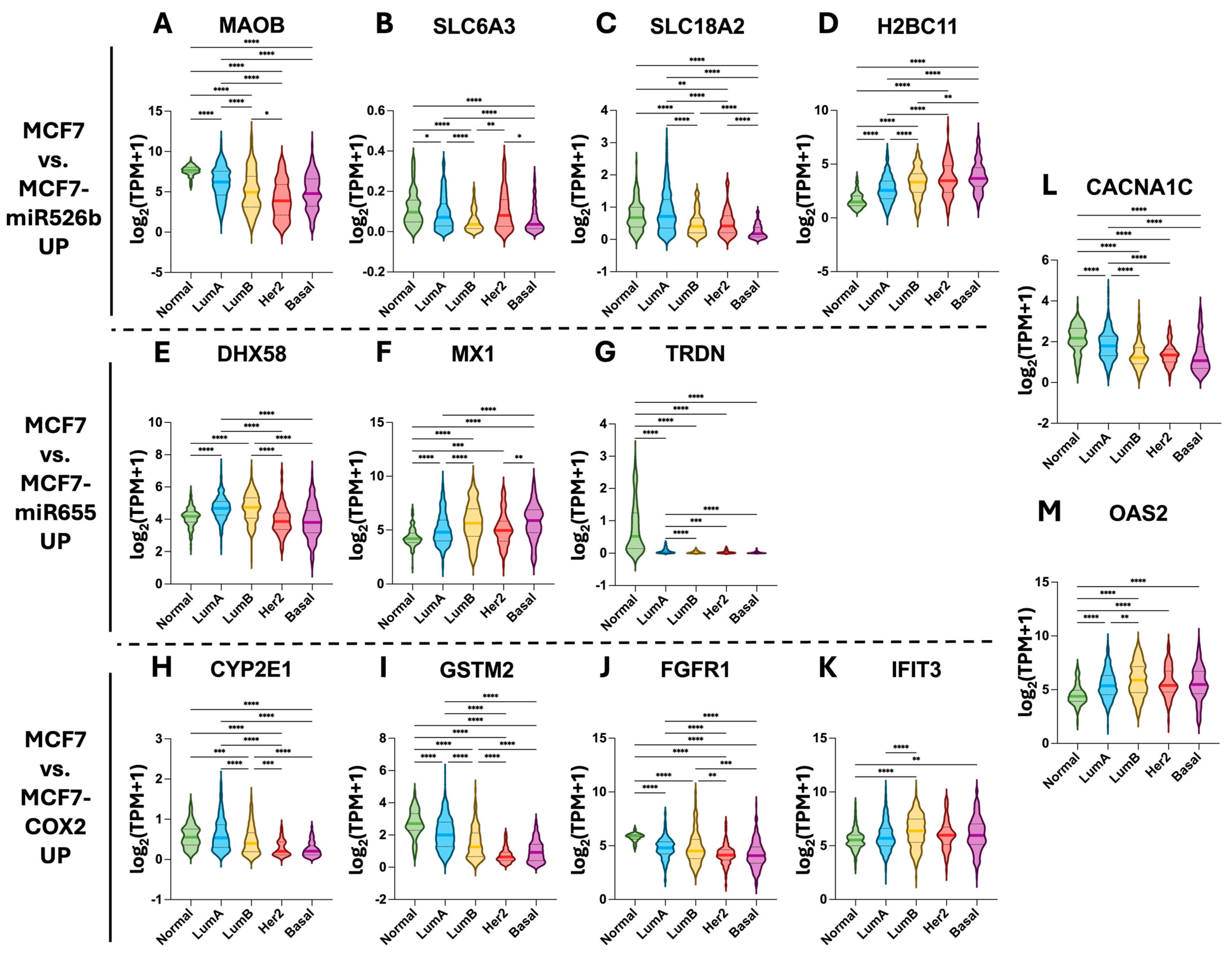 Ijms 26 09103 g007 Ijms 26 09103 g007