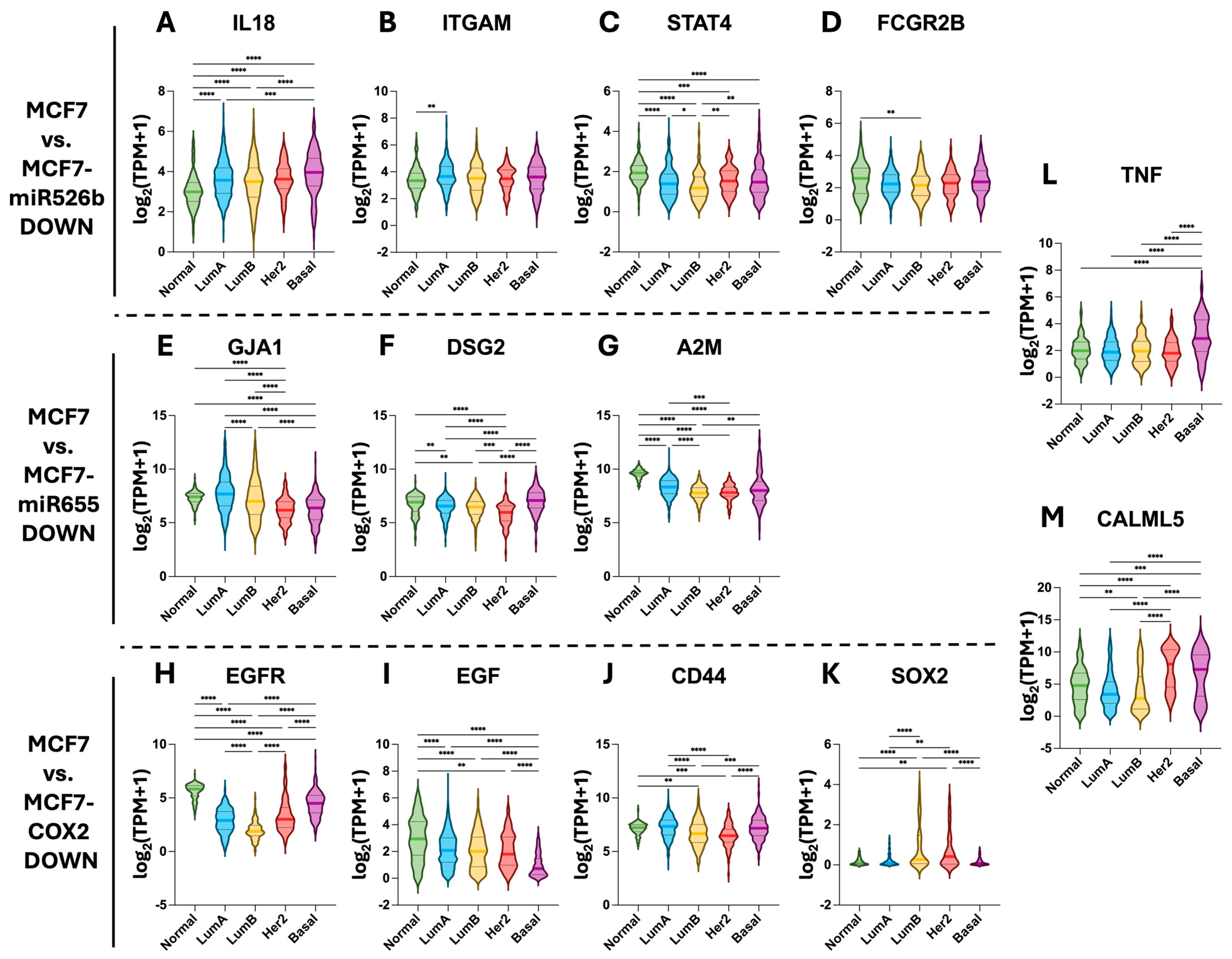 Ijms 26 09103 g008 Ijms 26 09103 g008