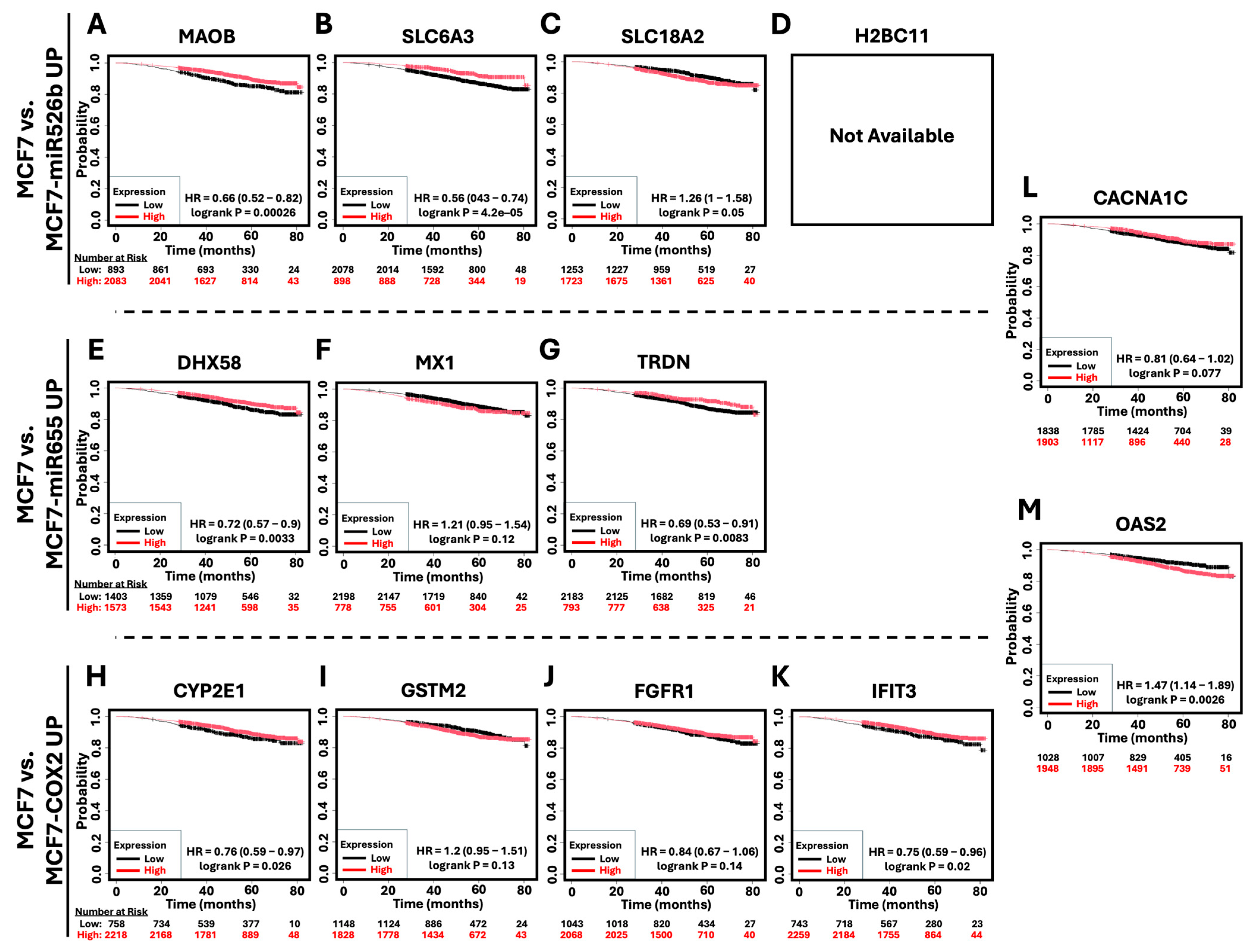 Ijms 26 09103 g009 Ijms 26 09103 g009