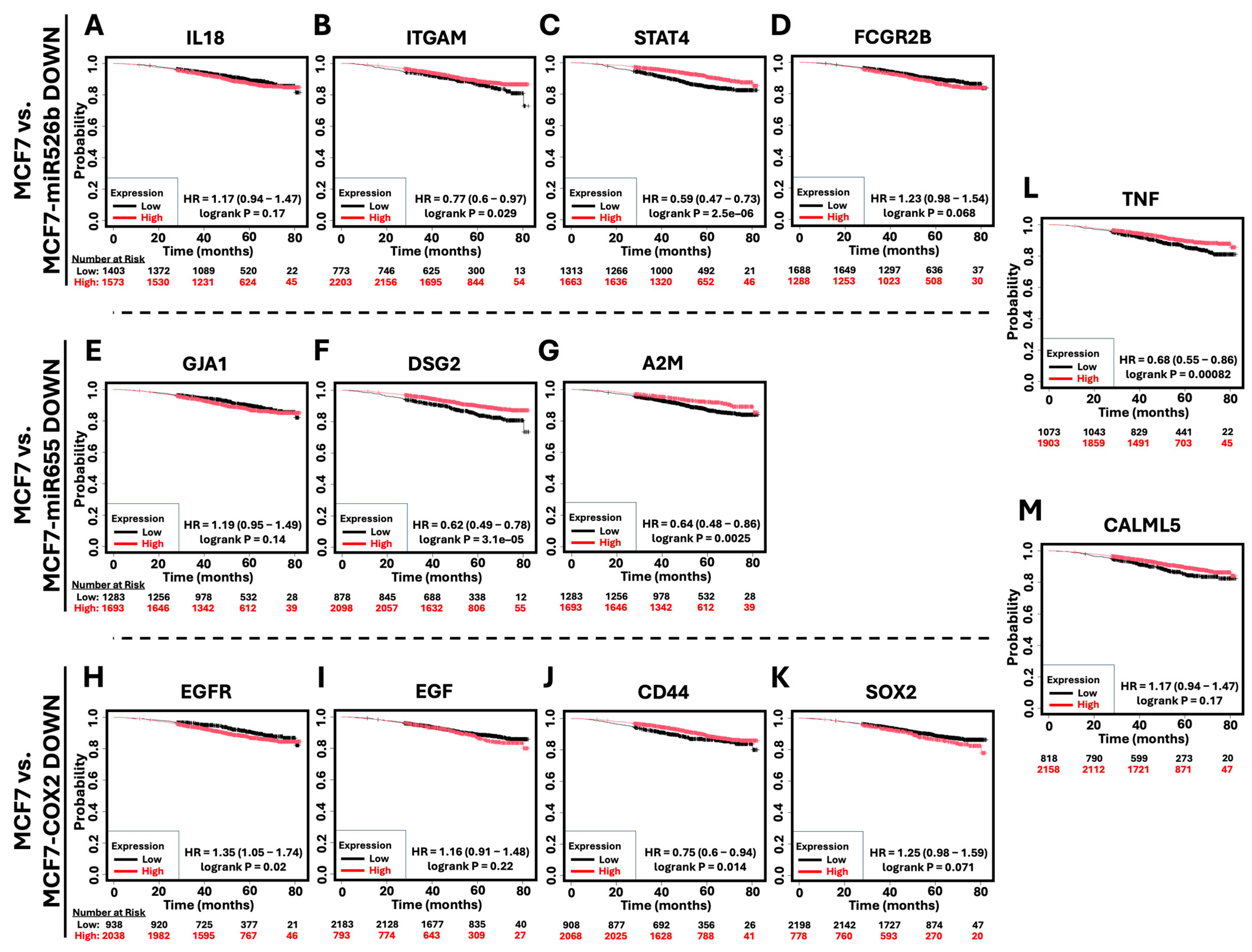 Ijms 26 09103 g010 Ijms 26 09103 g010