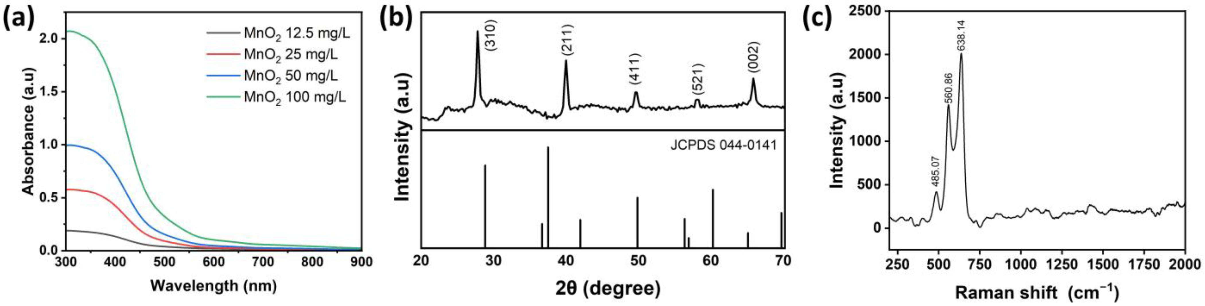 Ijms 26 09104 g001 Ijms 26 09104 g001