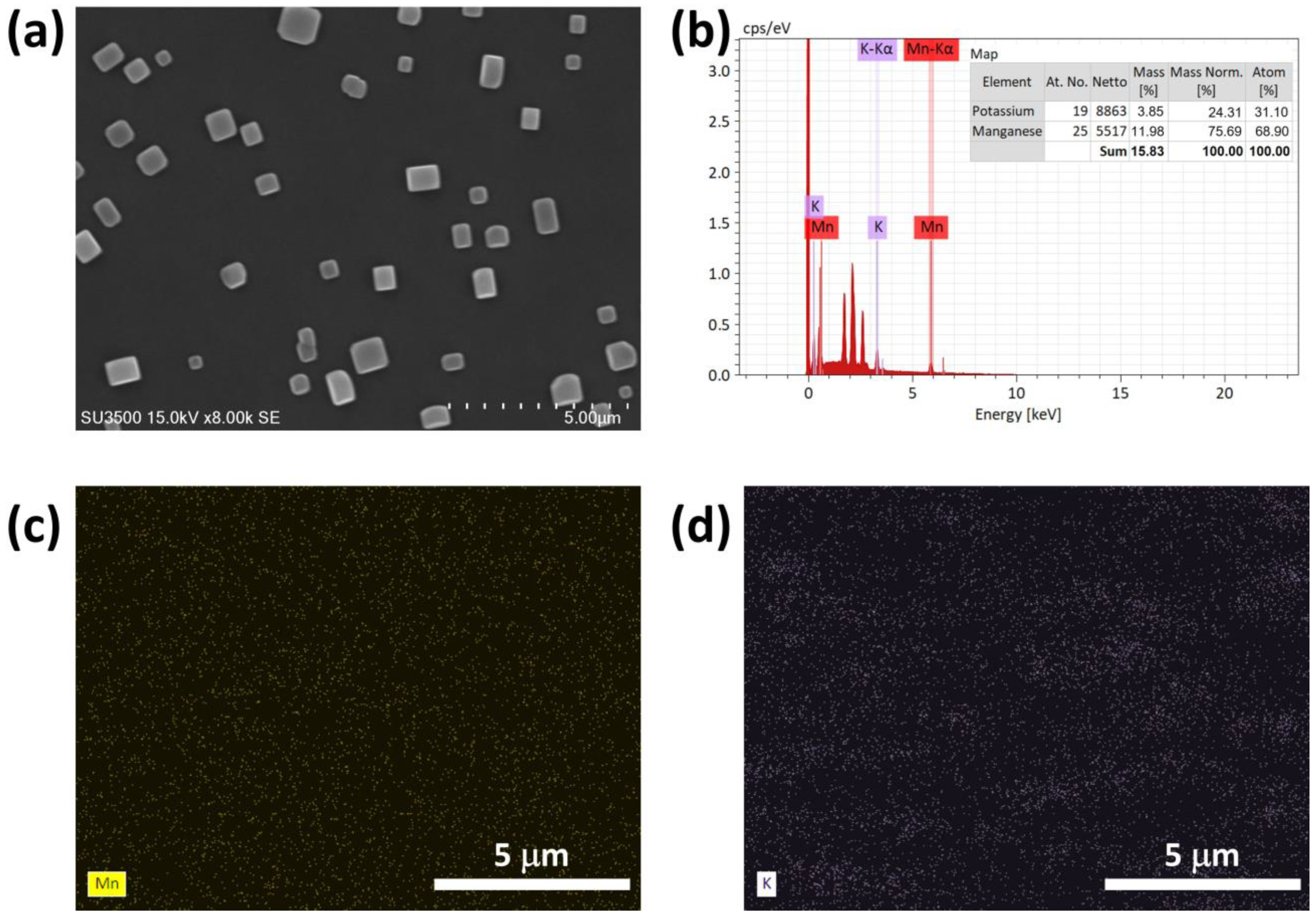 Ijms 26 09104 g003 Ijms 26 09104 g003