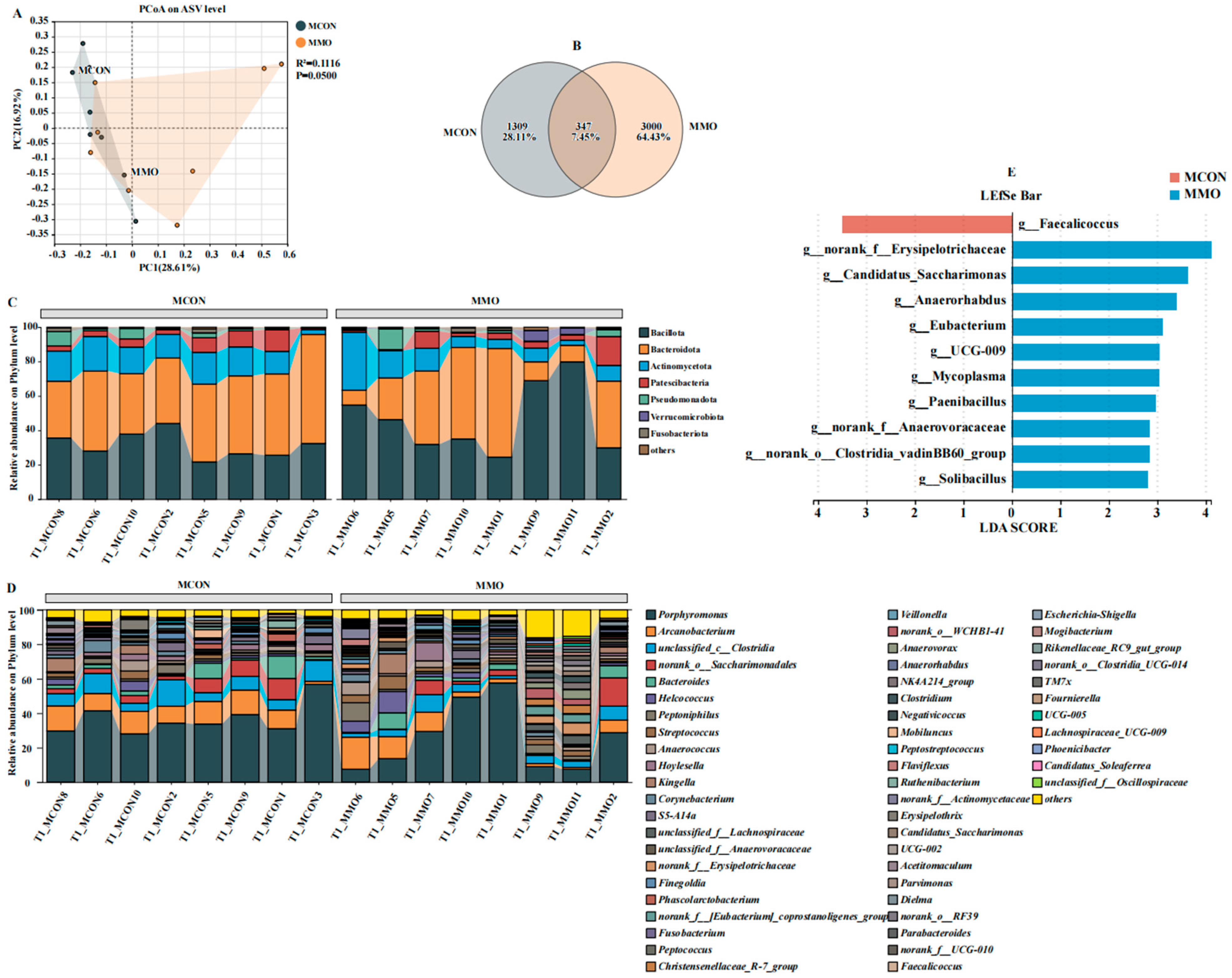 Ijms 26 09105 g006 Ijms 26 09105 g006