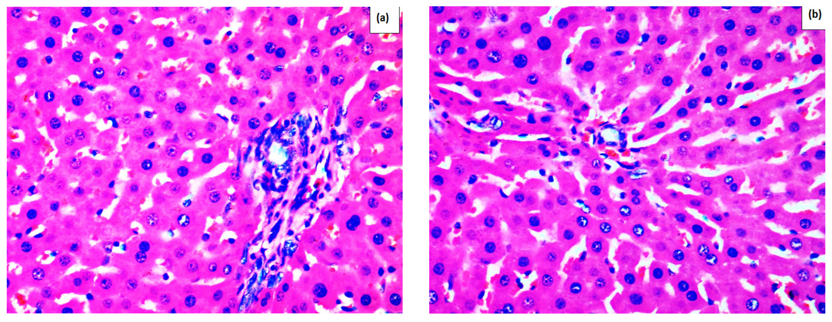 Ijms 26 09112 g001a Ijms 26 09112 g001a