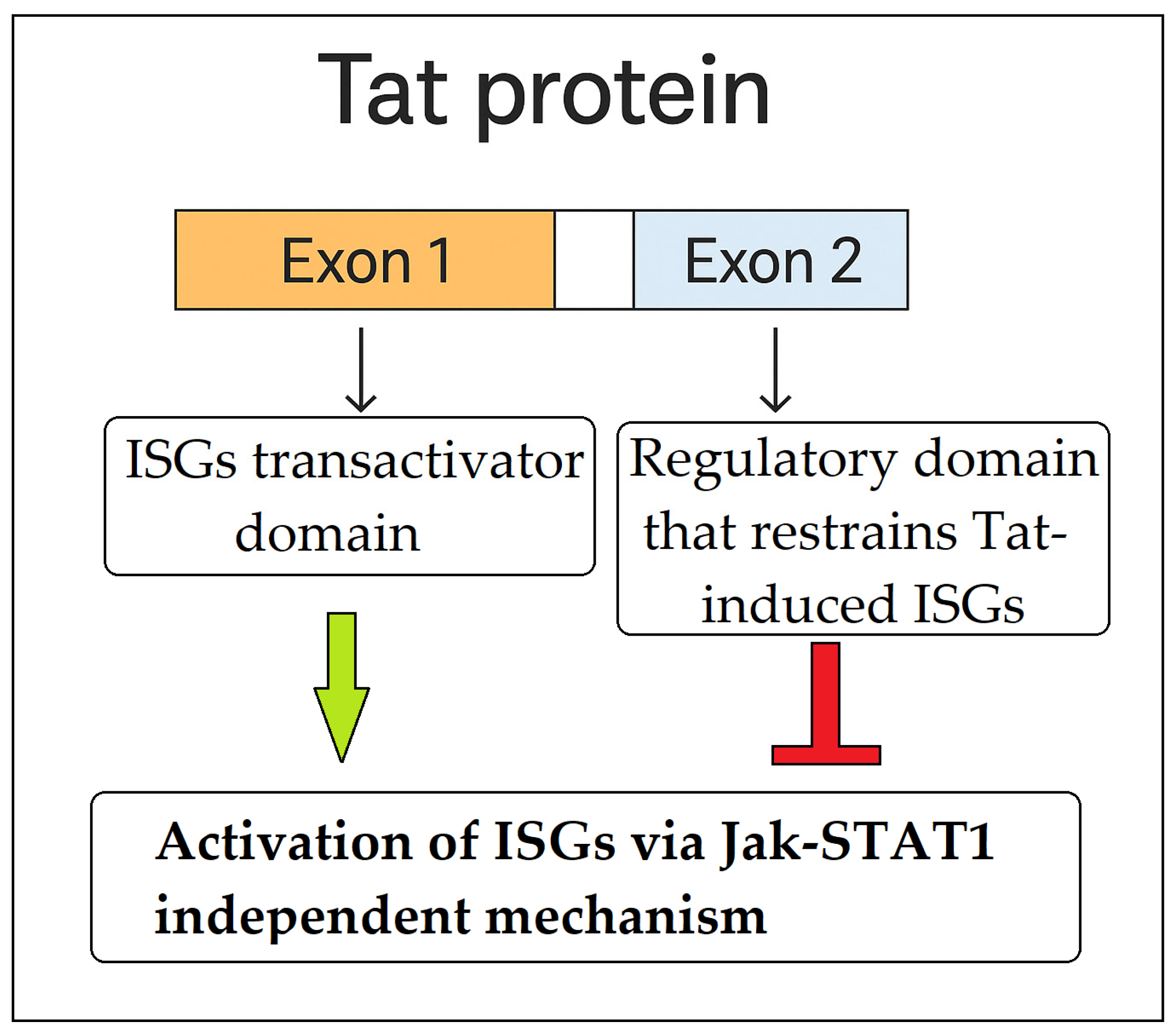 Ijms 26 09123 g003 Ijms 26 09123 g003
