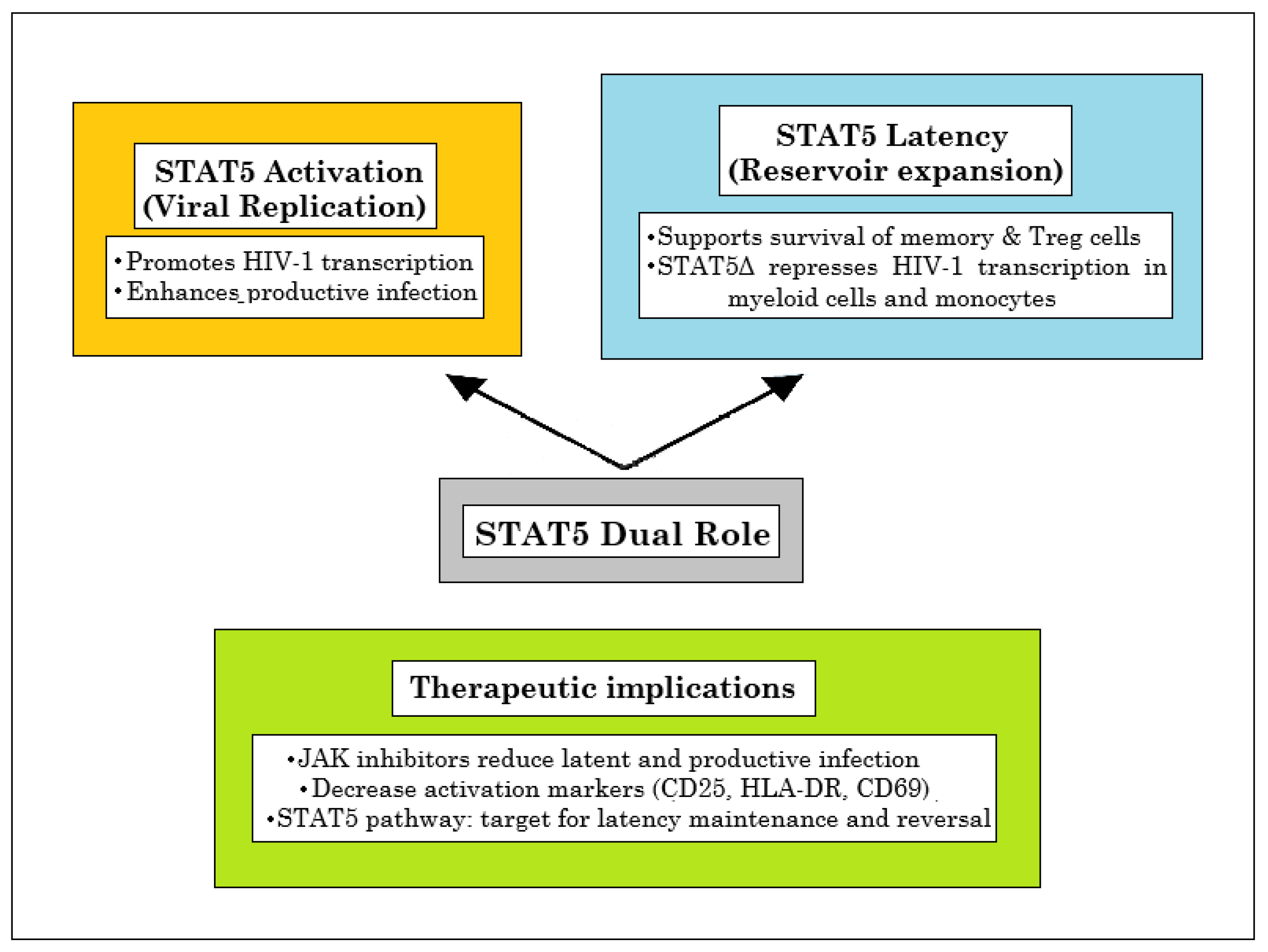 Ijms 26 09123 g005 Ijms 26 09123 g005