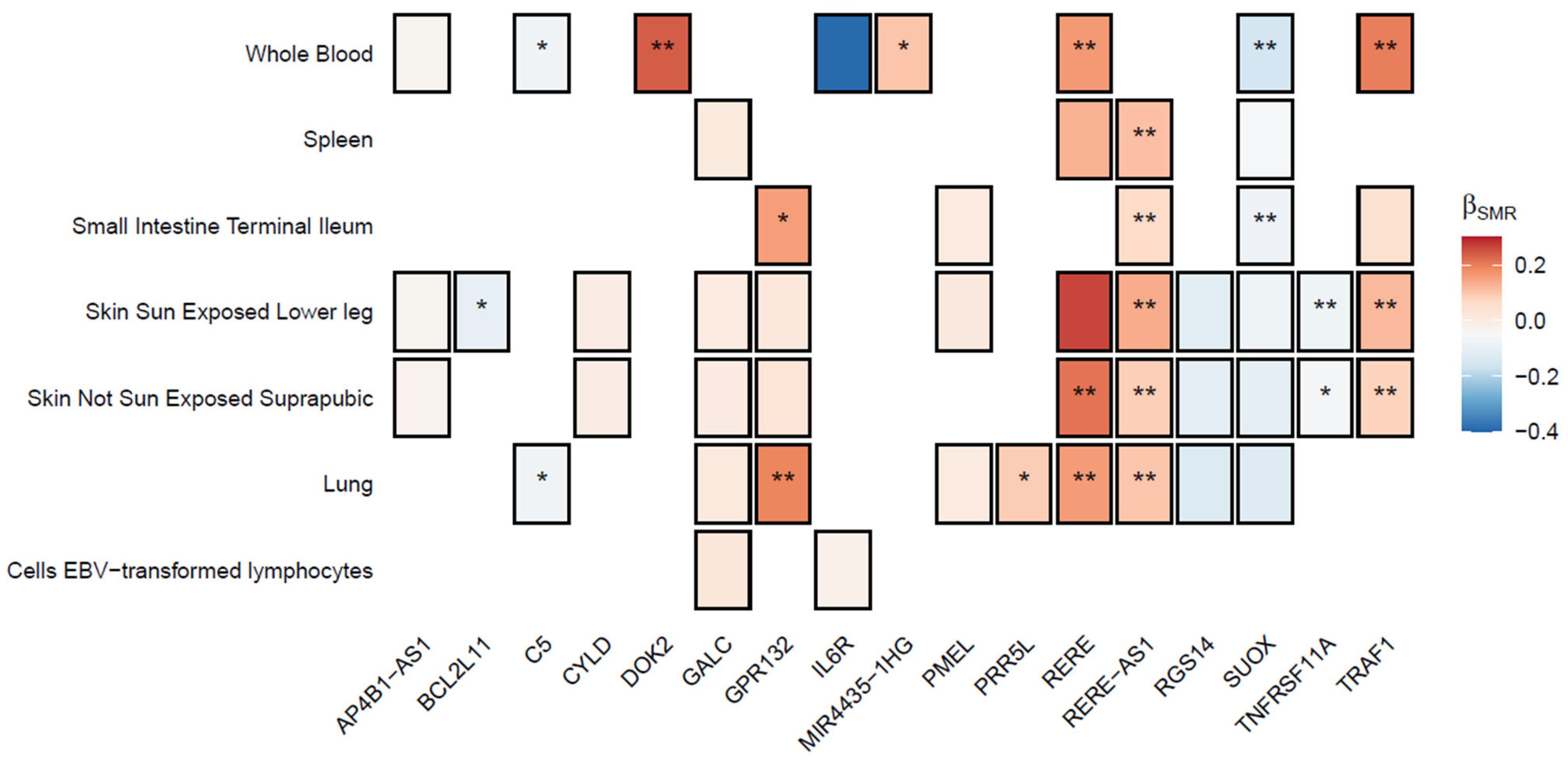 Ijms 26 09124 g003 Ijms 26 09124 g003
