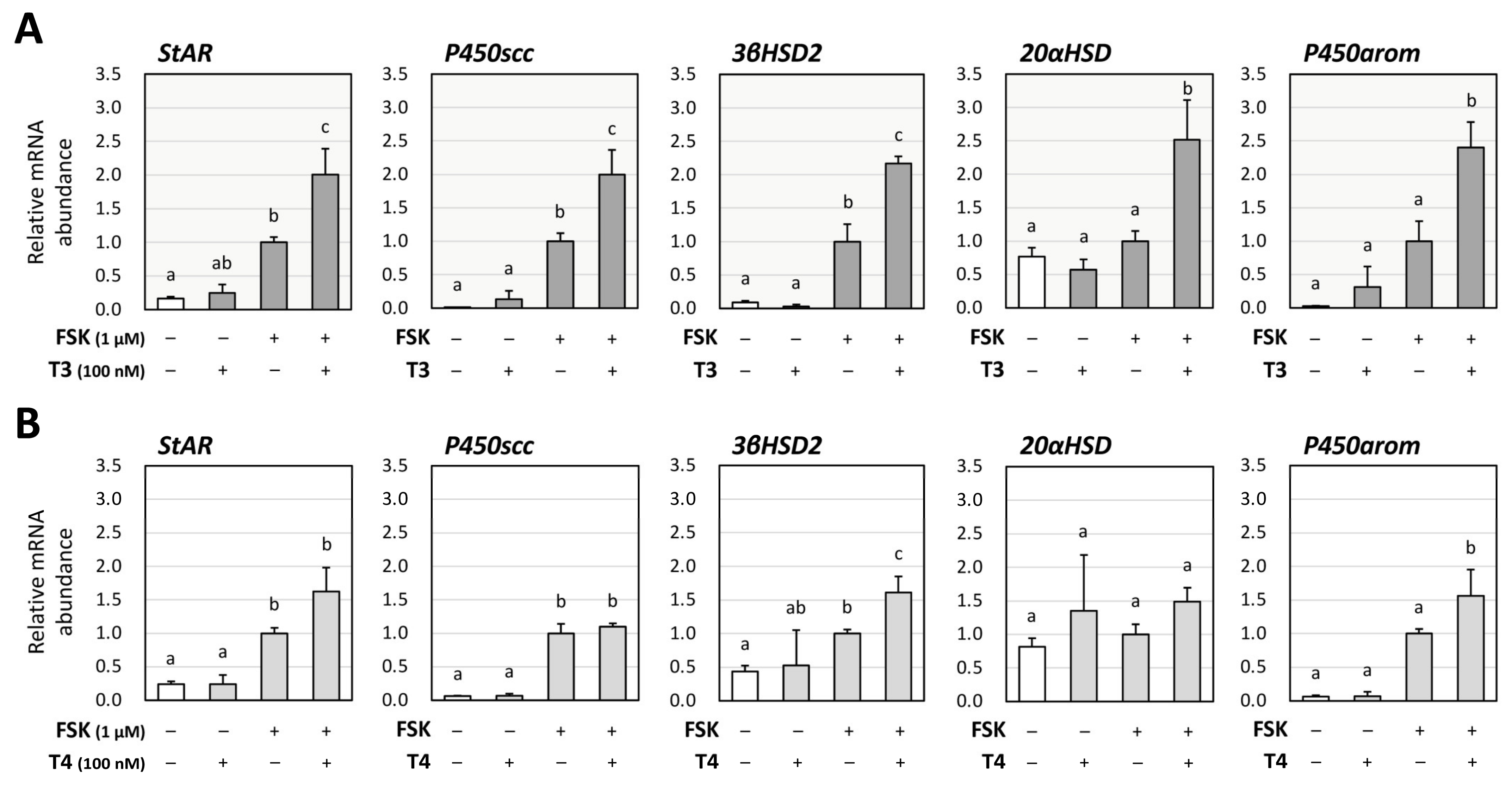 Ijms 26 09127 g001 Ijms 26 09127 g001