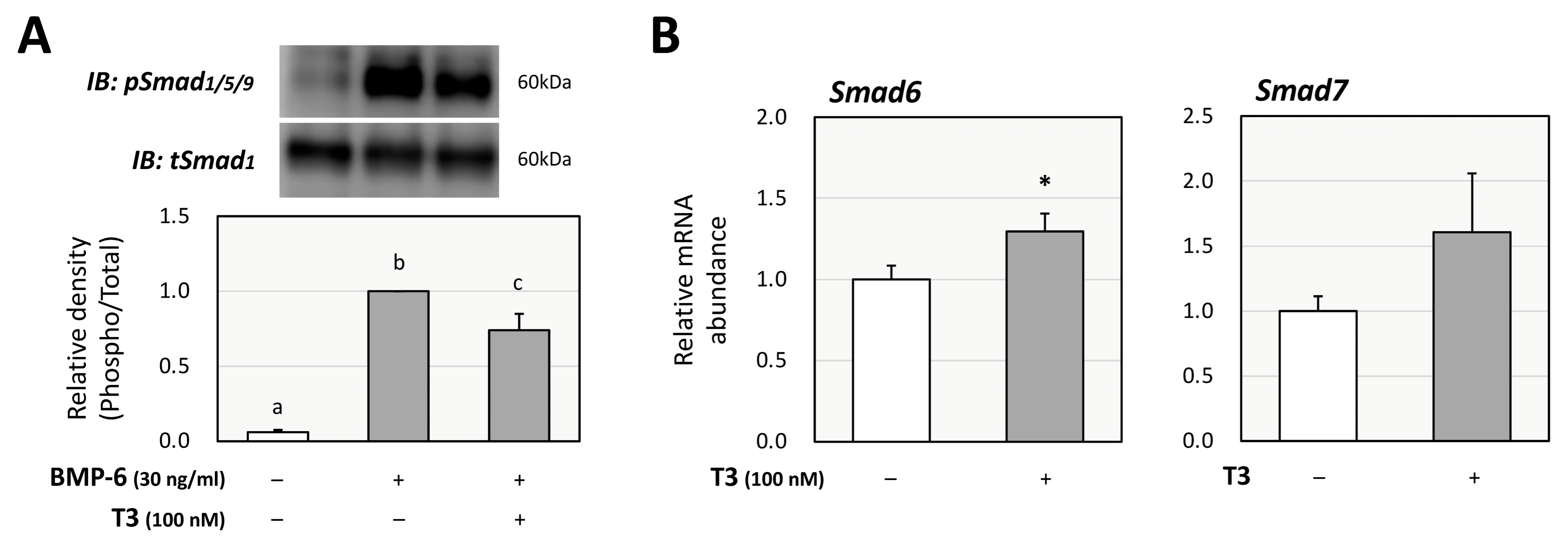 Ijms 26 09127 g003 Ijms 26 09127 g003
