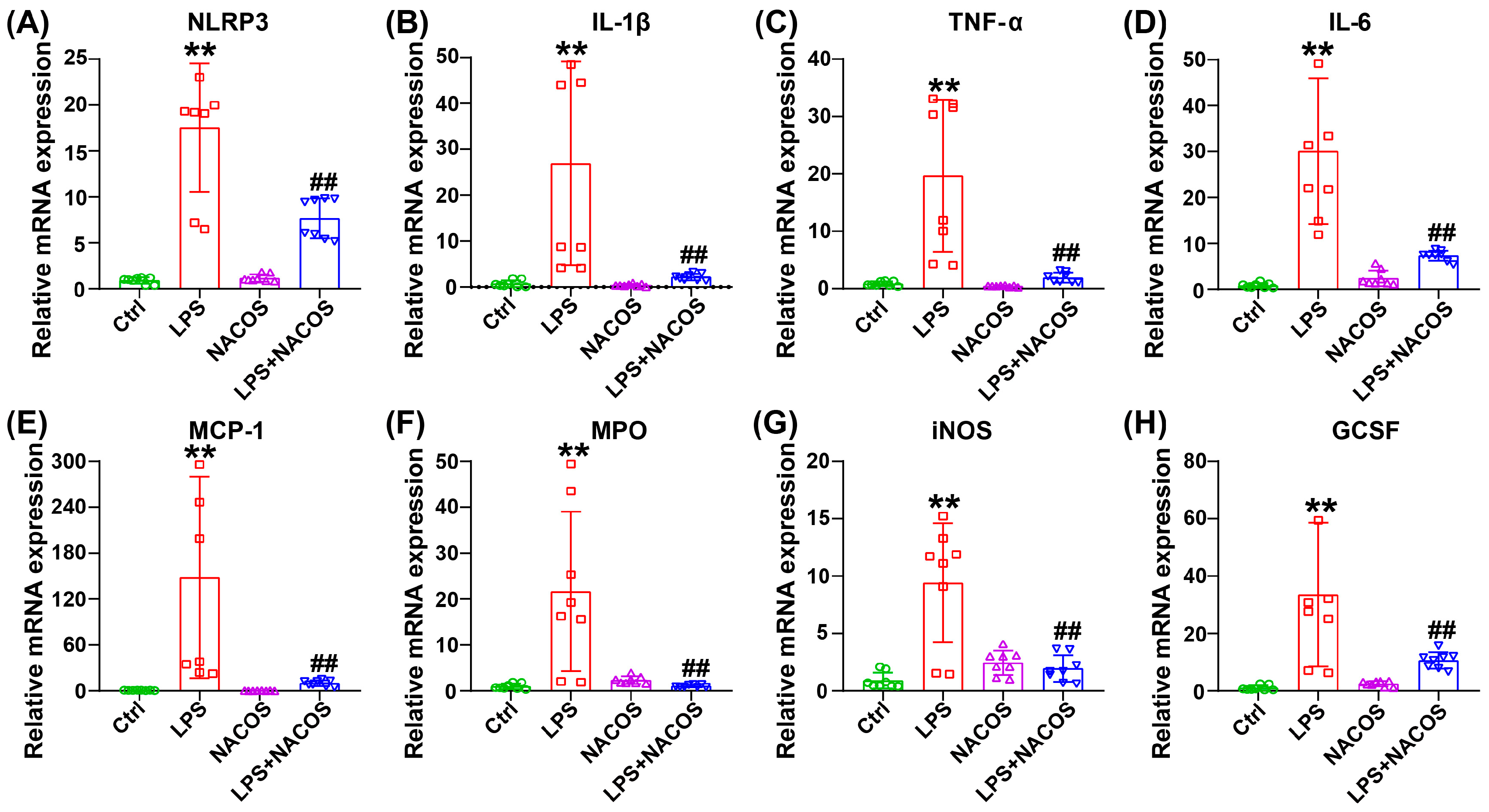 Ijms 26 09128 g002 Ijms 26 09128 g002