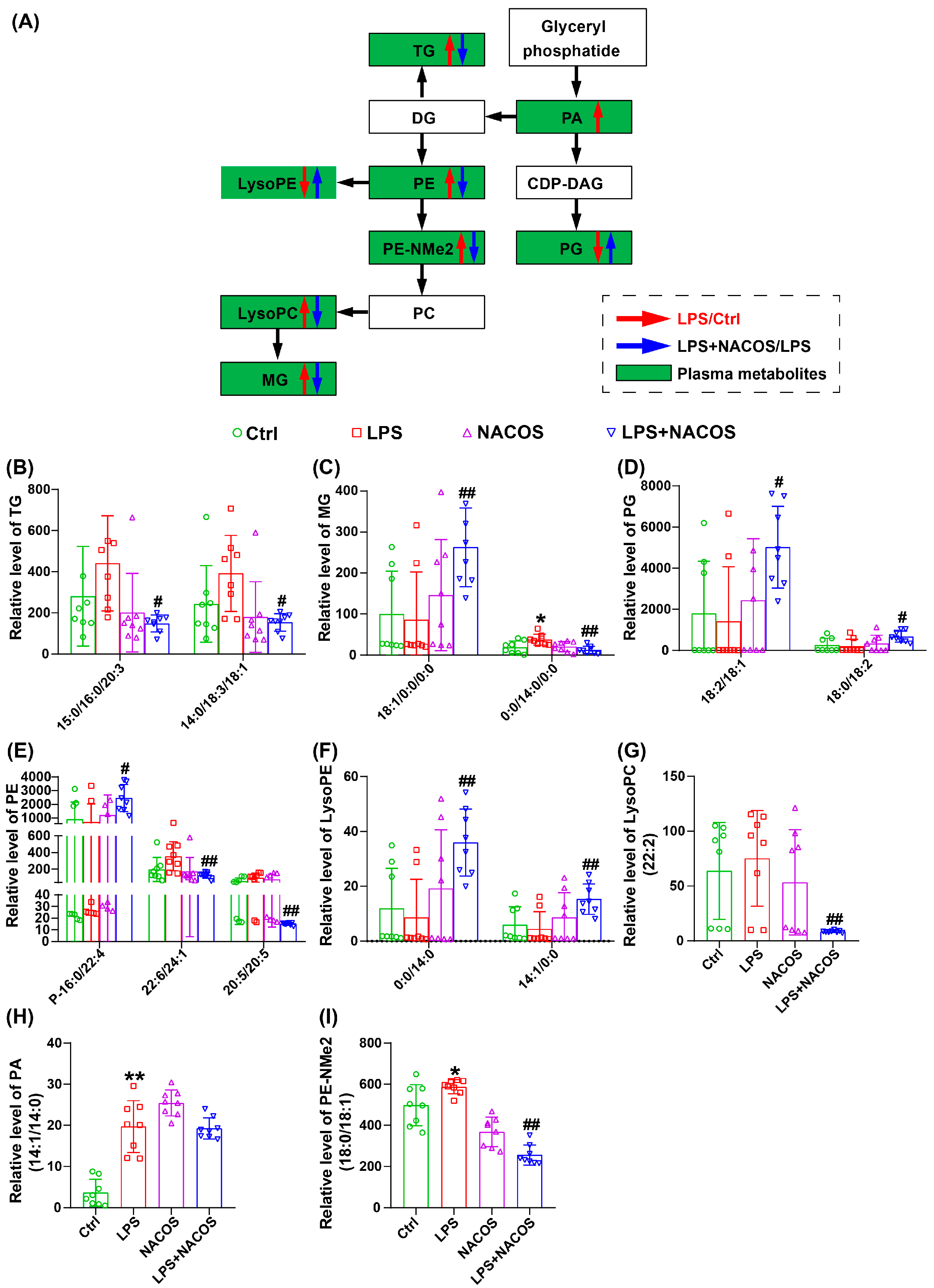Ijms 26 09128 g005 Ijms 26 09128 g005