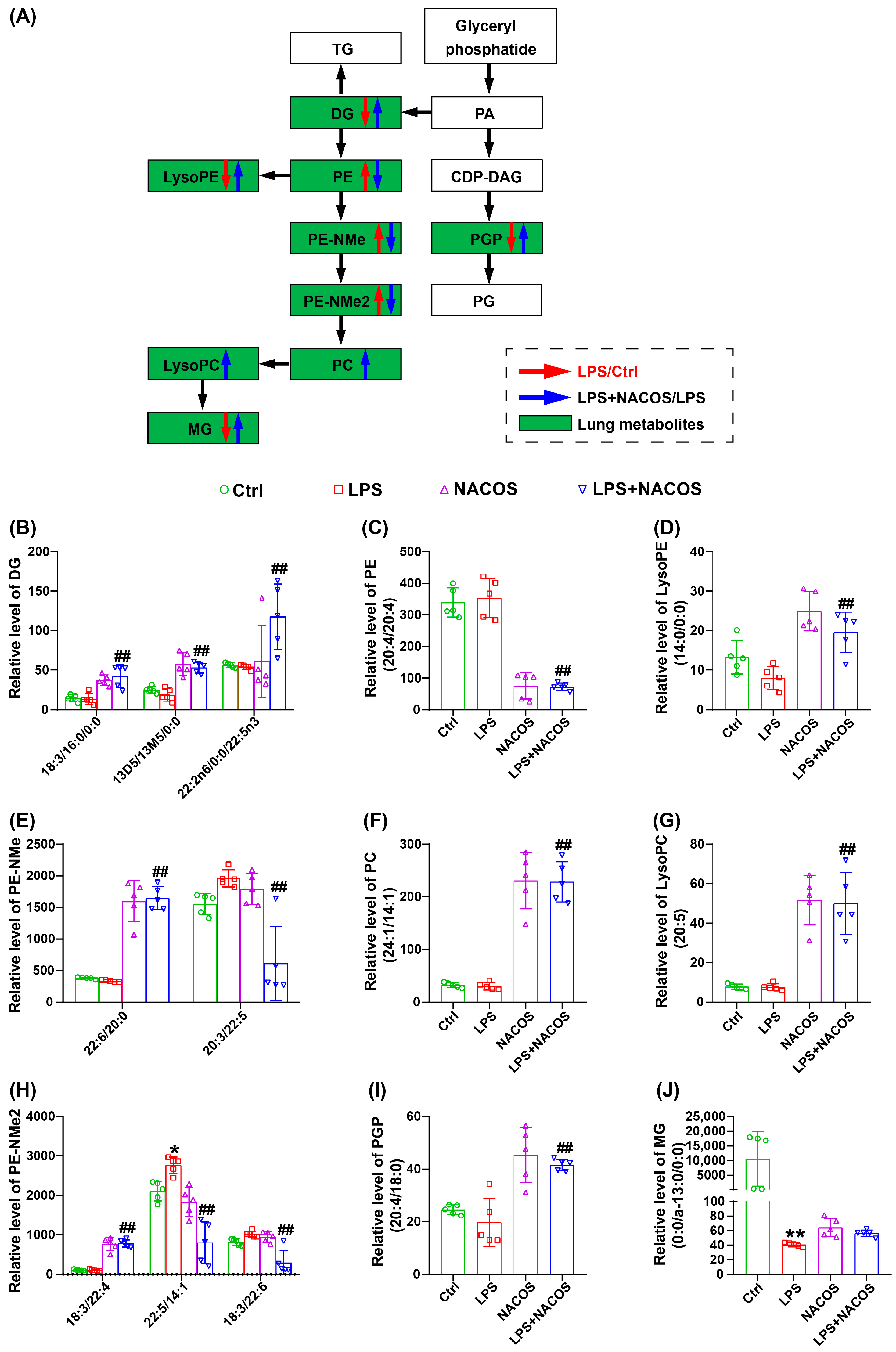 Ijms 26 09128 g008 Ijms 26 09128 g008