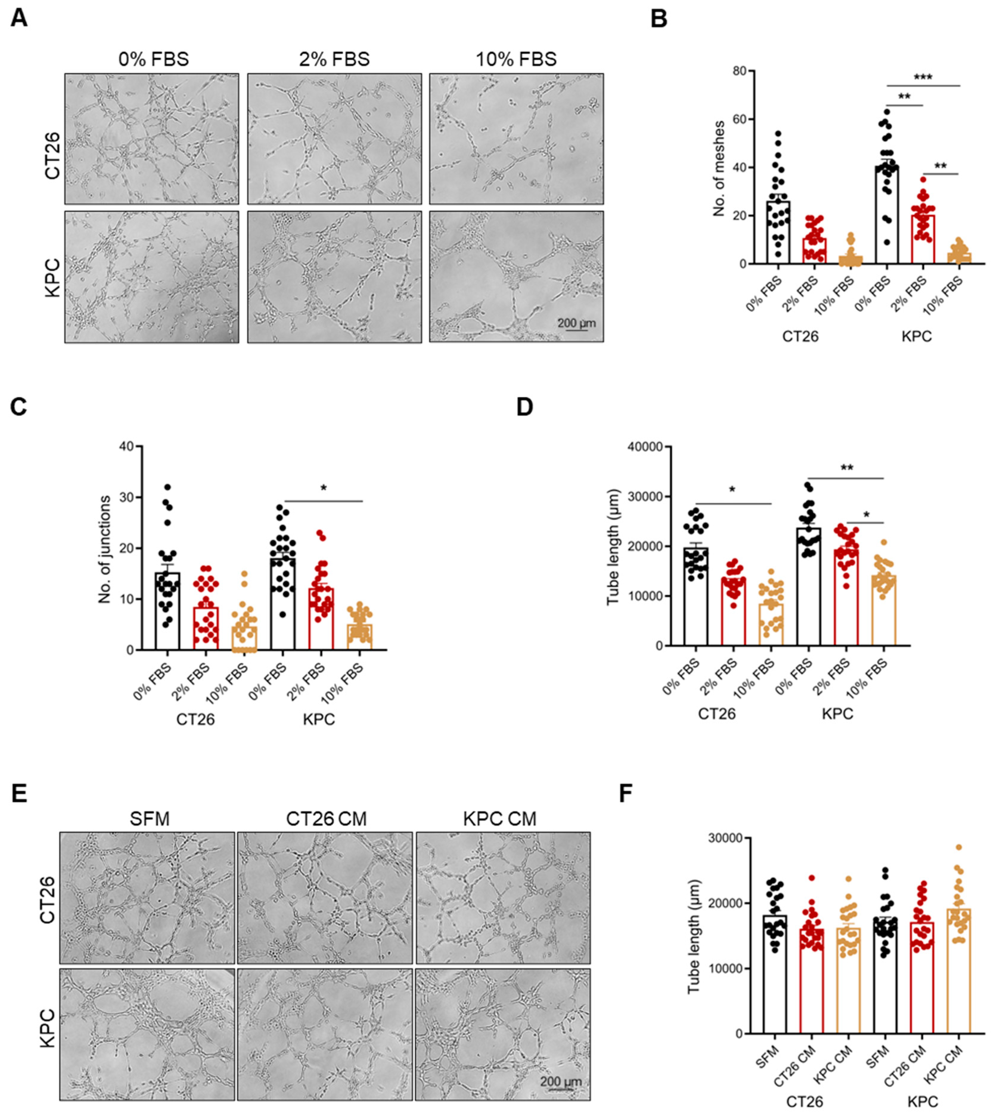 Ijms 26 09129 g001 Ijms 26 09129 g001