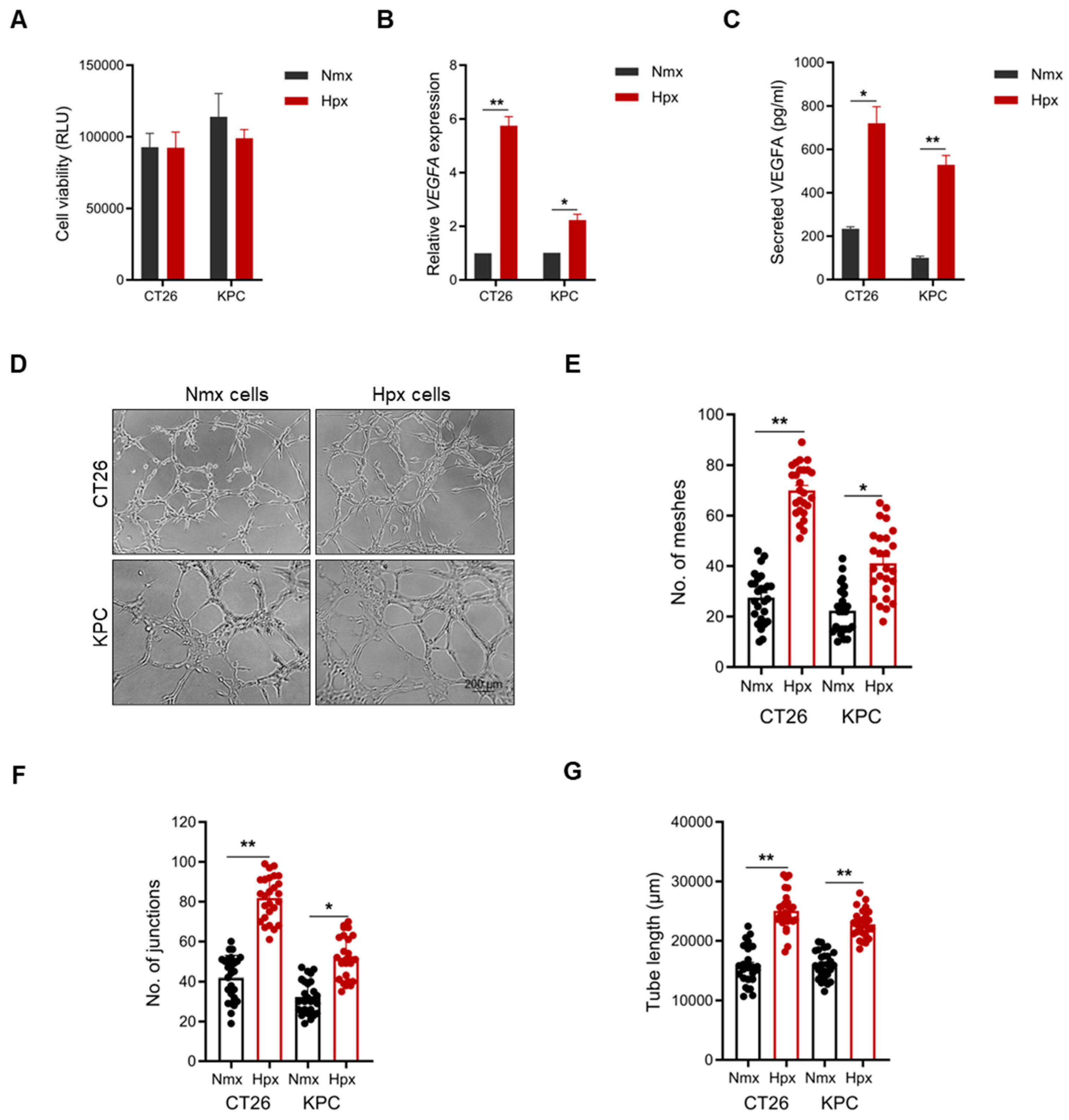 Ijms 26 09129 g002 Ijms 26 09129 g002