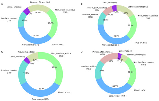Mutational Disruption of TP53: A Structural Approach to